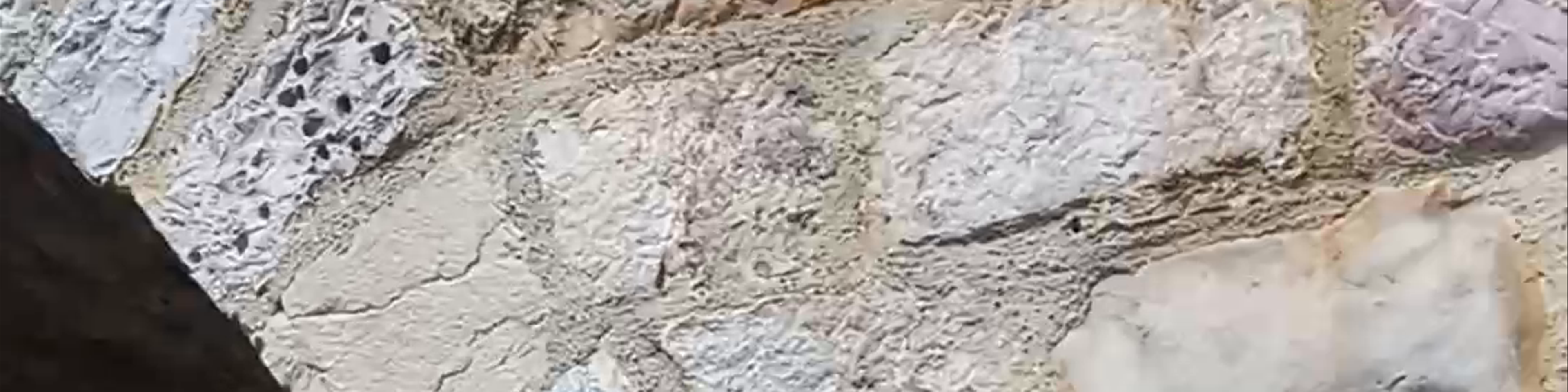 Ulcinj