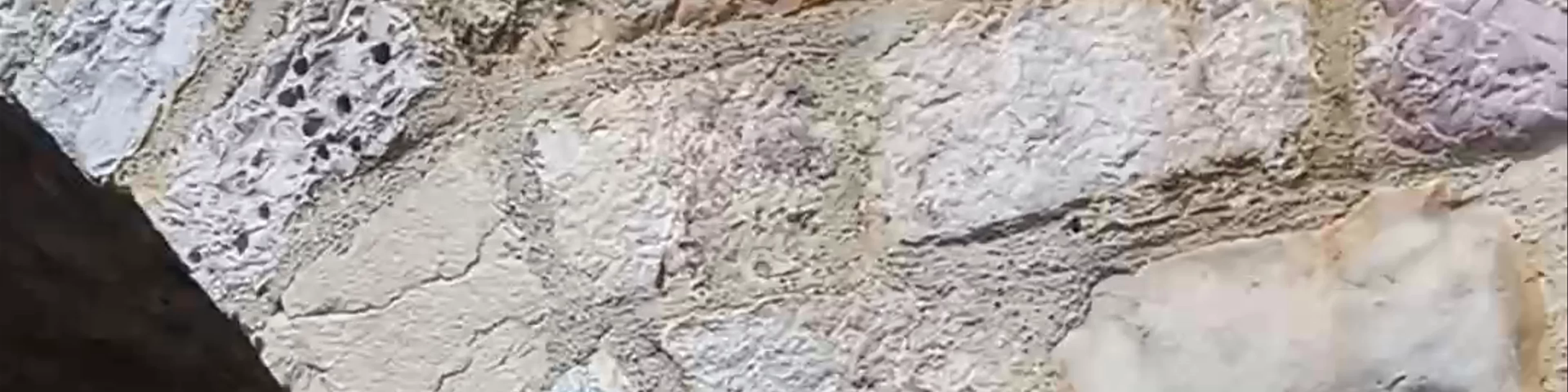Bedeni Jugor