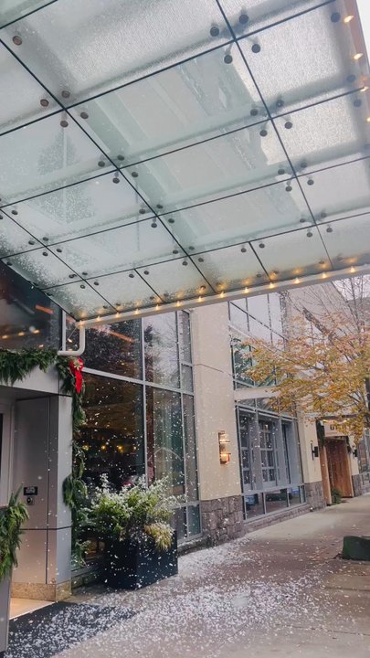 Hilton Vancouver Washington - Holiday cheer - Hotels Near Me - Vancouver, Washington