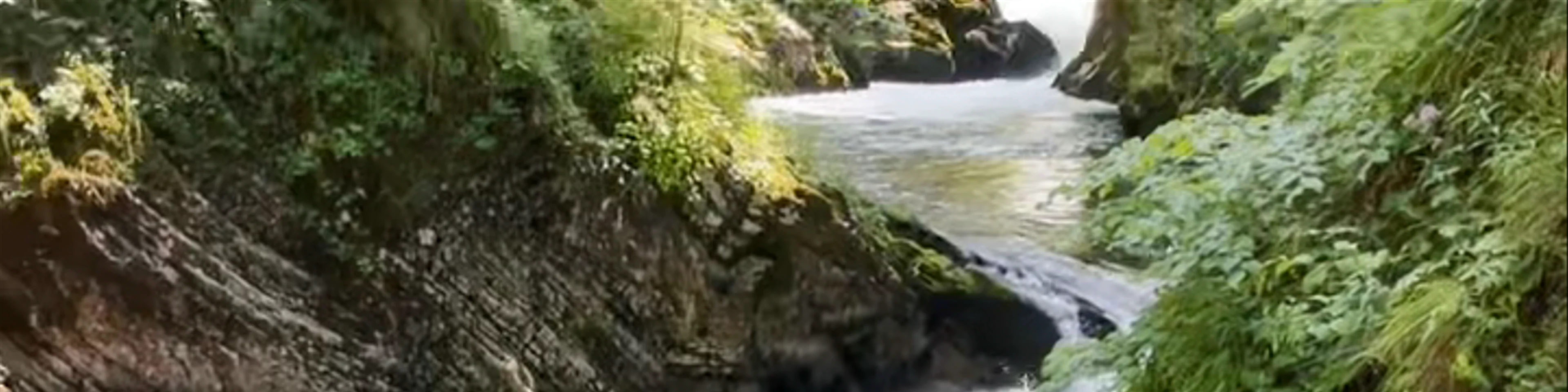 Vintgar Gorge