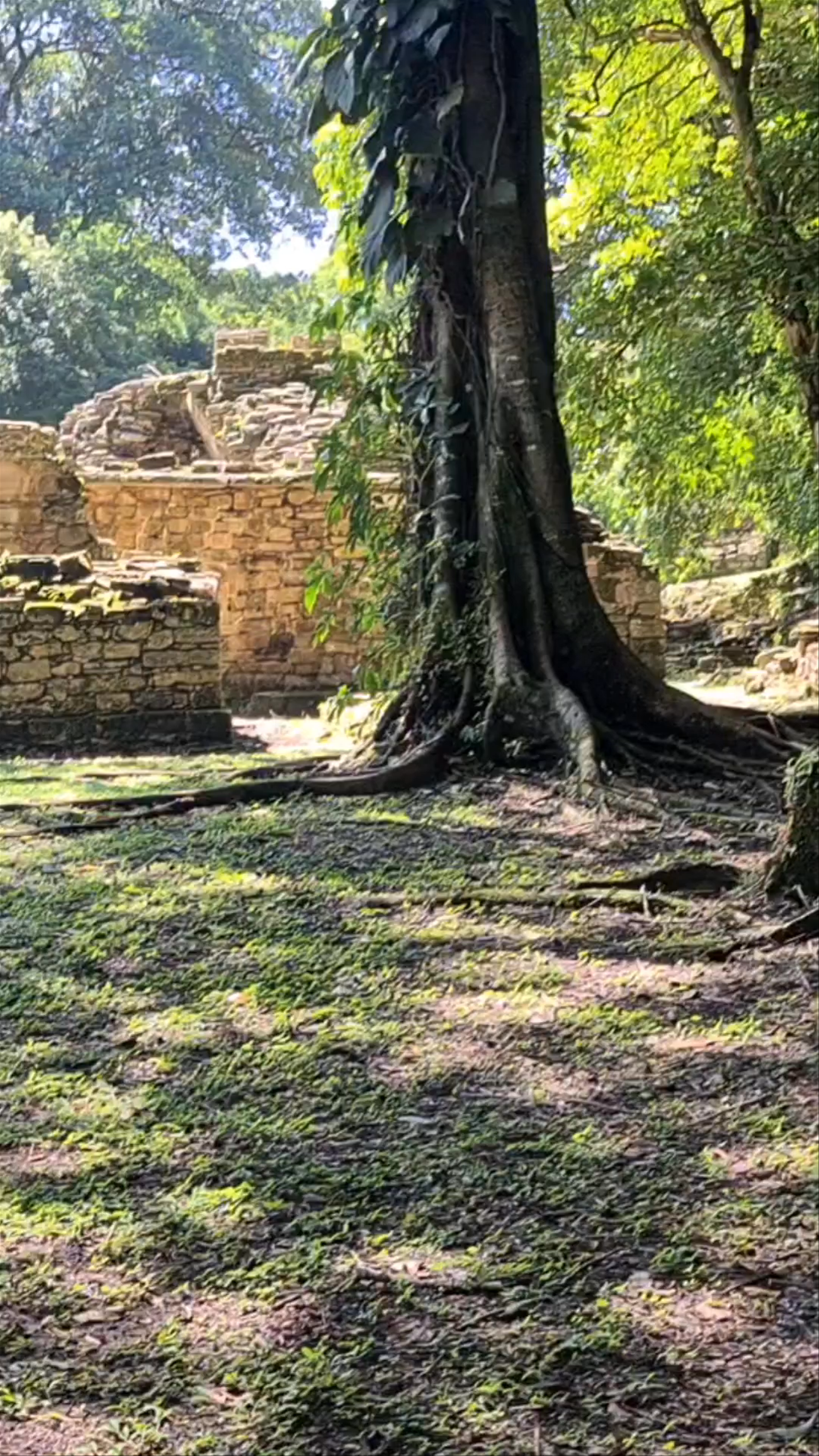 Archaeological Site of Yaxchilán