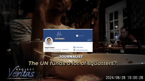 Video Thumbnail Loop