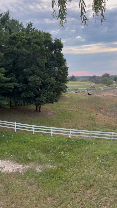 Moomers - view of the pasture! - Ice Cream & Frozen Yogurt Near Me - Traverse City, Michigan