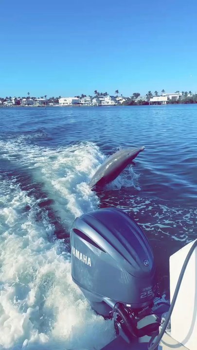 Captiva Cruises - Boat Charters Near Me - Captiva, Florida