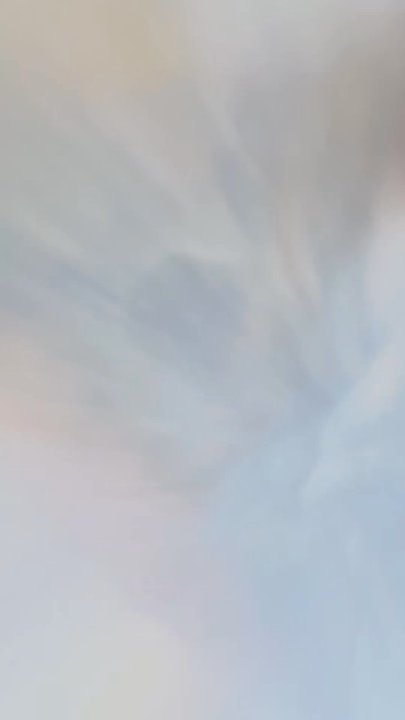 Randy's Moving Help - Movers Near Me - Torrance, California