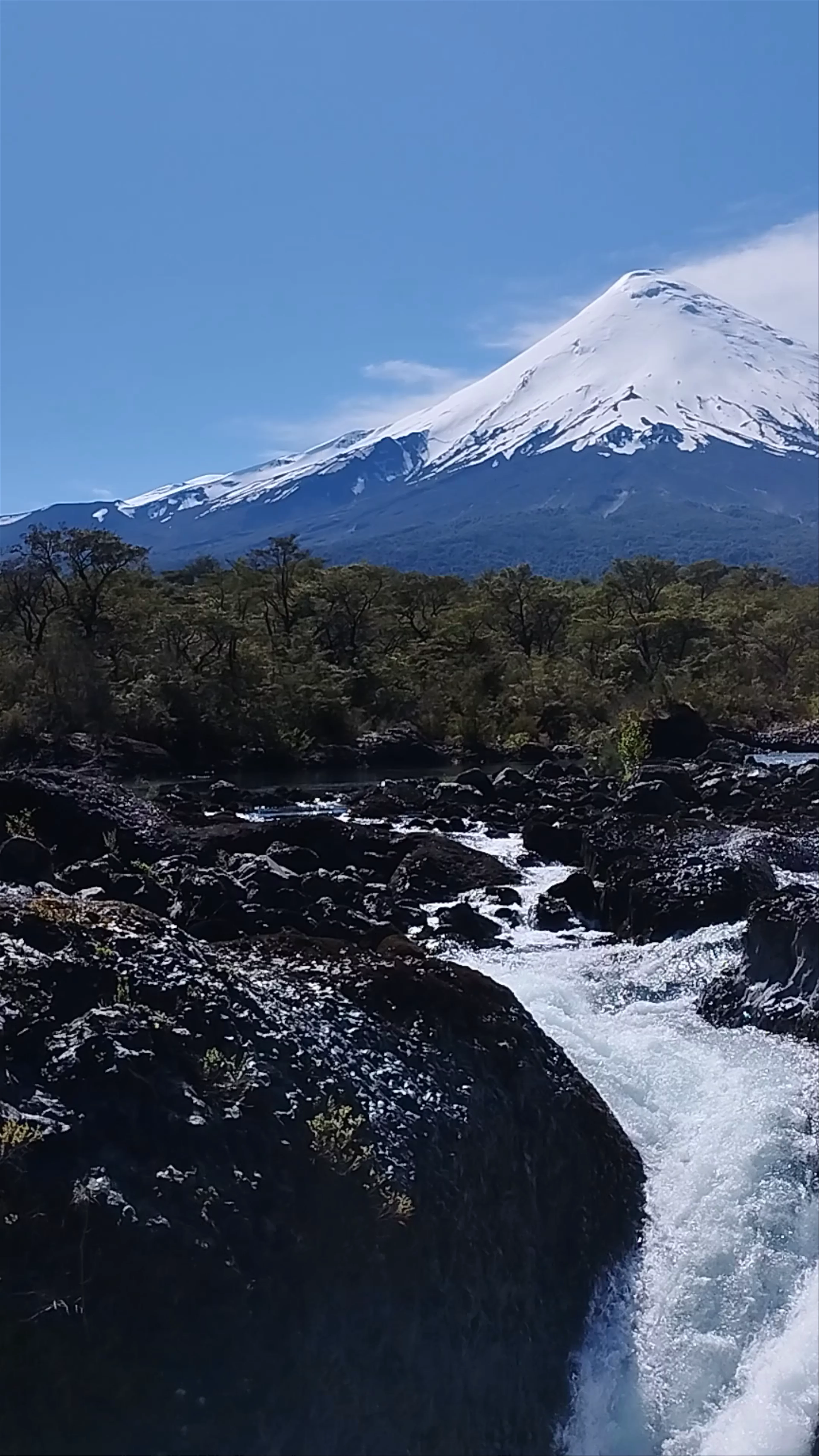 Parque Saltos del Río Petrohué - Ruta 225