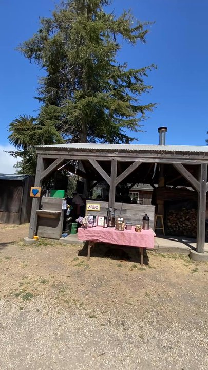 PIE RANCH - Updated July 2026 - 701 Photos & 208 Reviews - 2080 ...