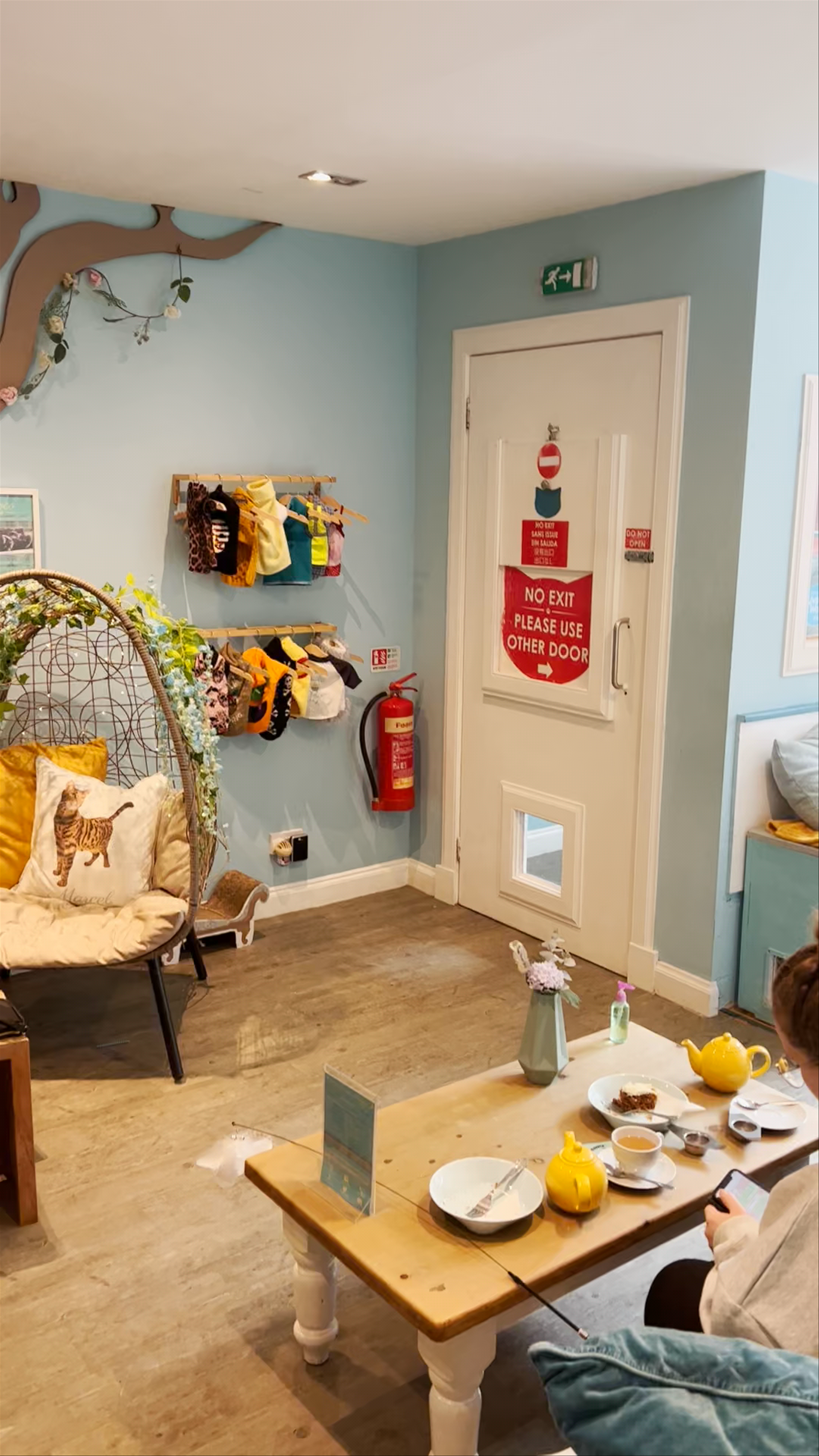 Maison de Moggy: Cozy Cat Café Experience in Edinburgh