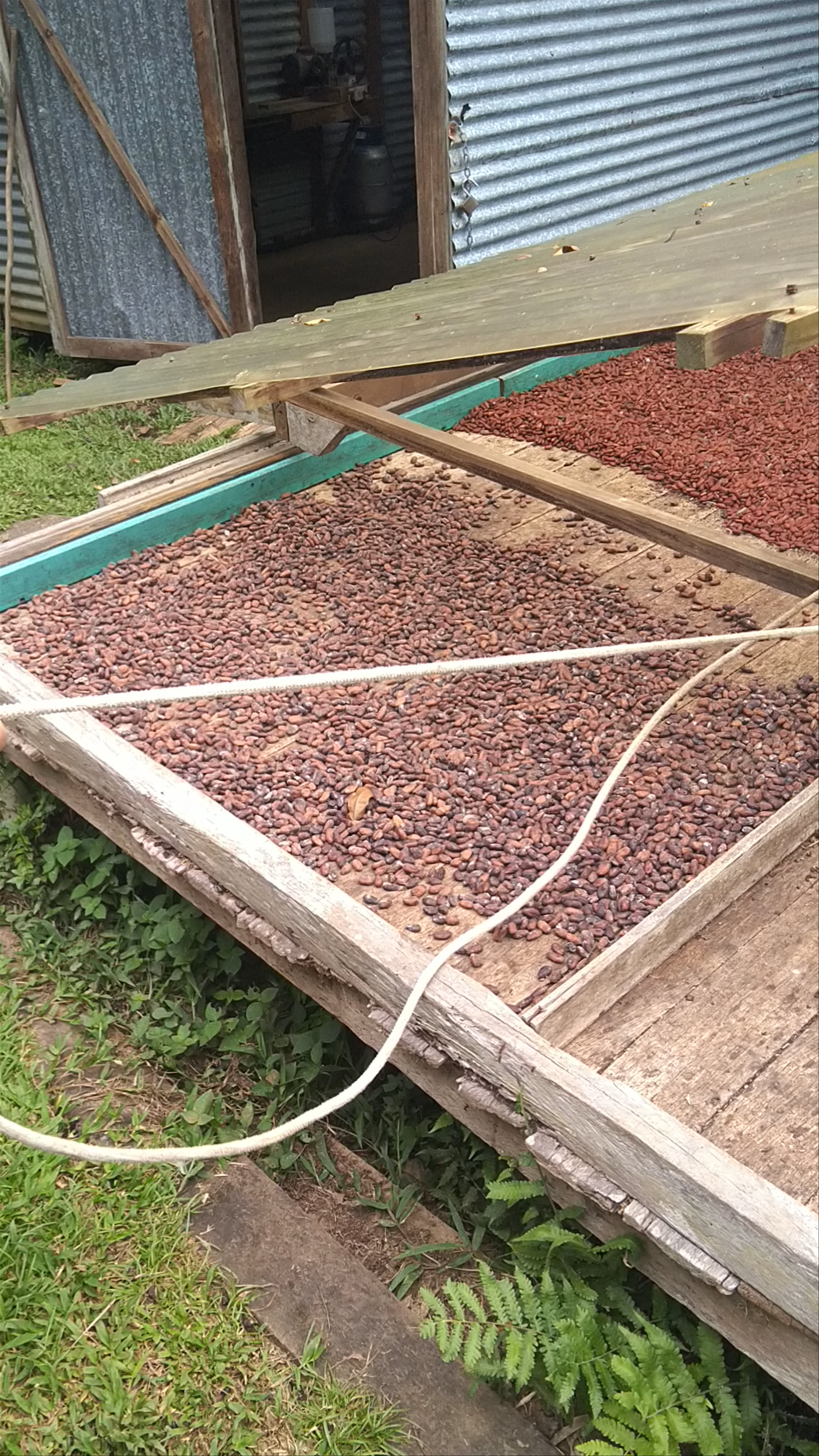 Green Acres Chocolate Farm