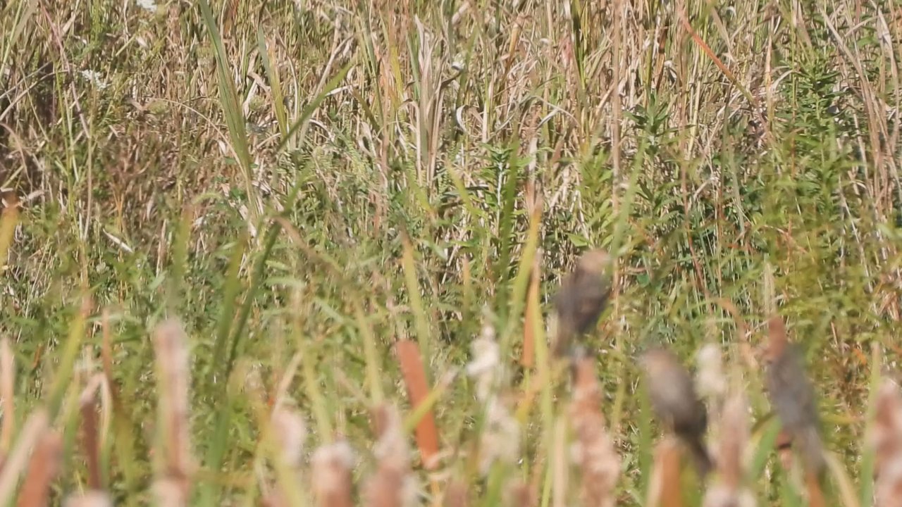 Fernald Preserve - Hiking Near Me - Hamilton, Ohio