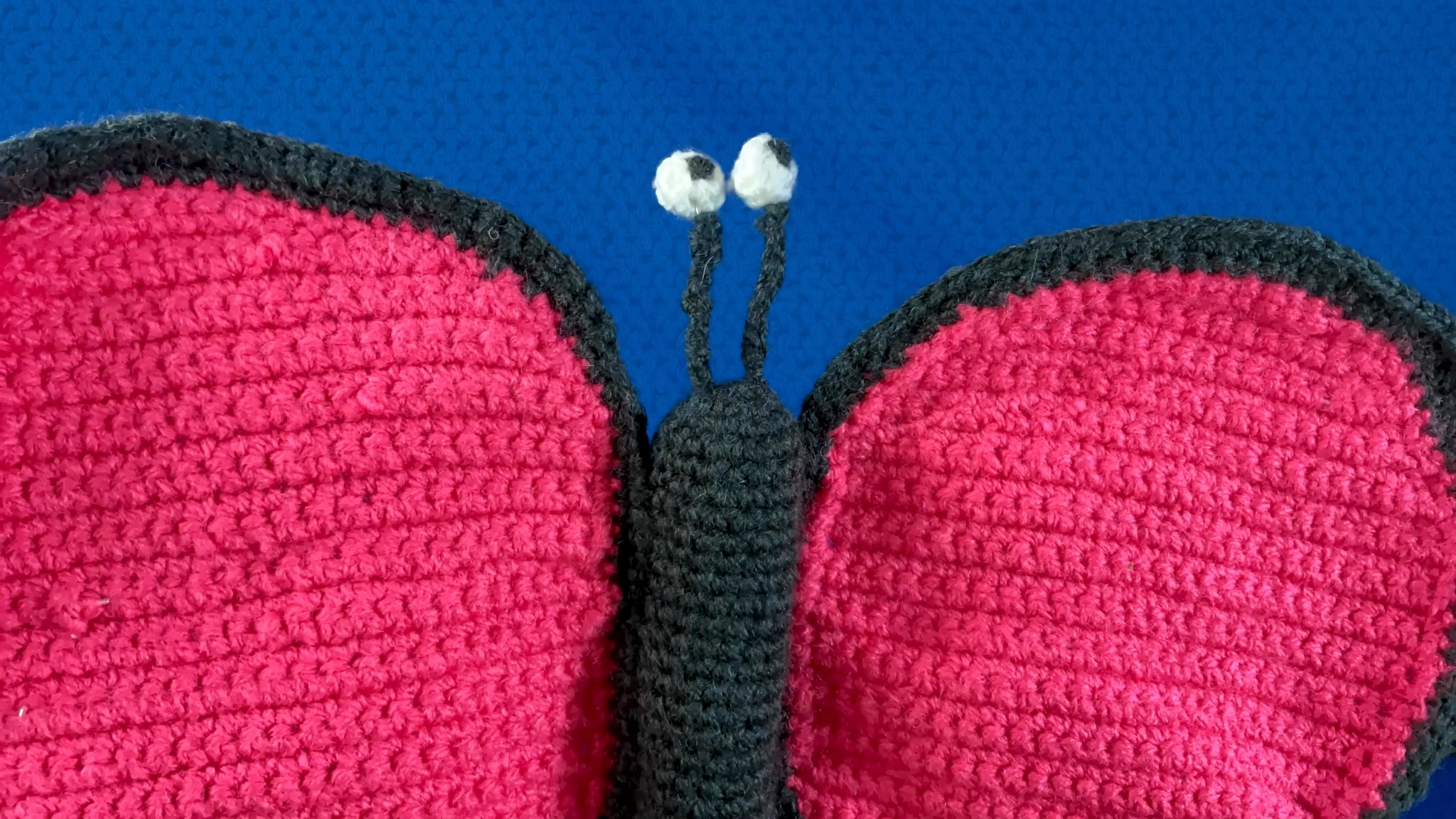 Sophie's winning entry