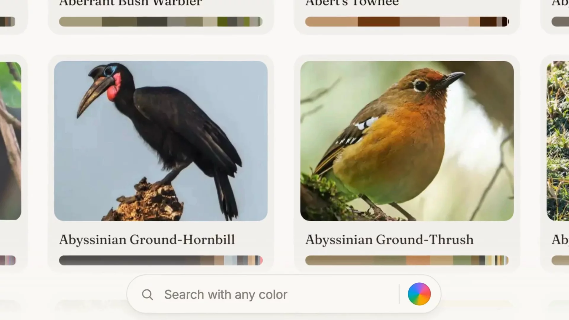 Bird Palette image 1