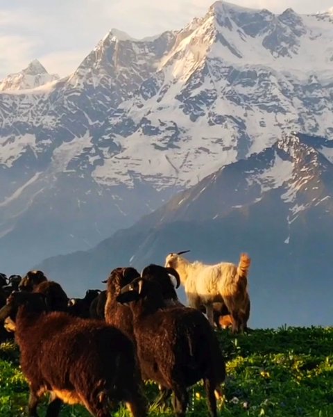 Photo of Offbeat Places Are M