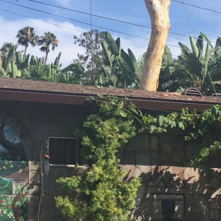 Unique Tree service - Tree Services Near Me - Anaheim, California