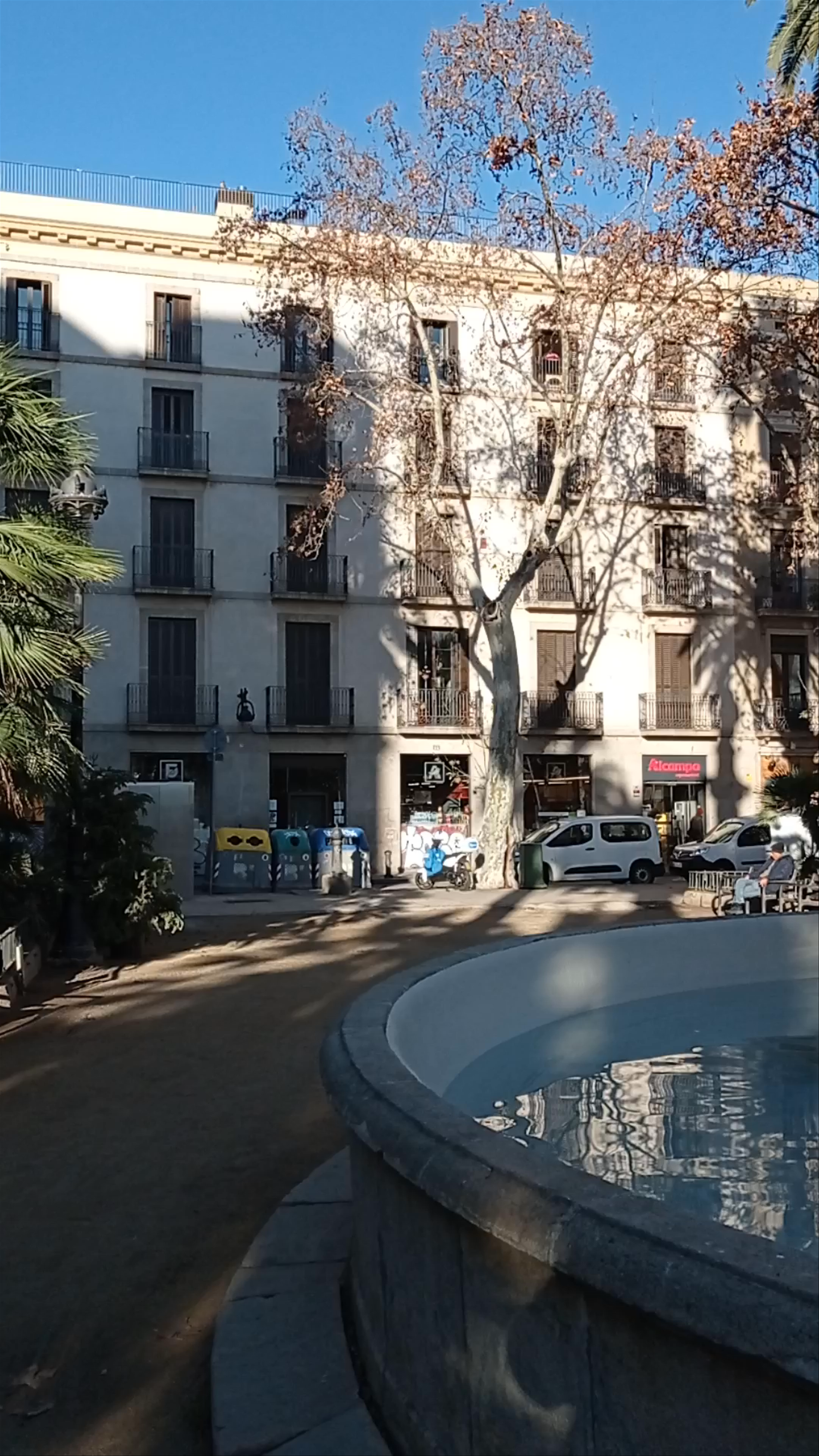 Plaça del Duc de Medinaceli: Urban Oasis in the Heart of Barcelona