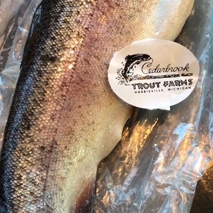 Cedarbrook Trout Farm - Best Fish ever! - Fishing Near Me - Harrisville, Michigan