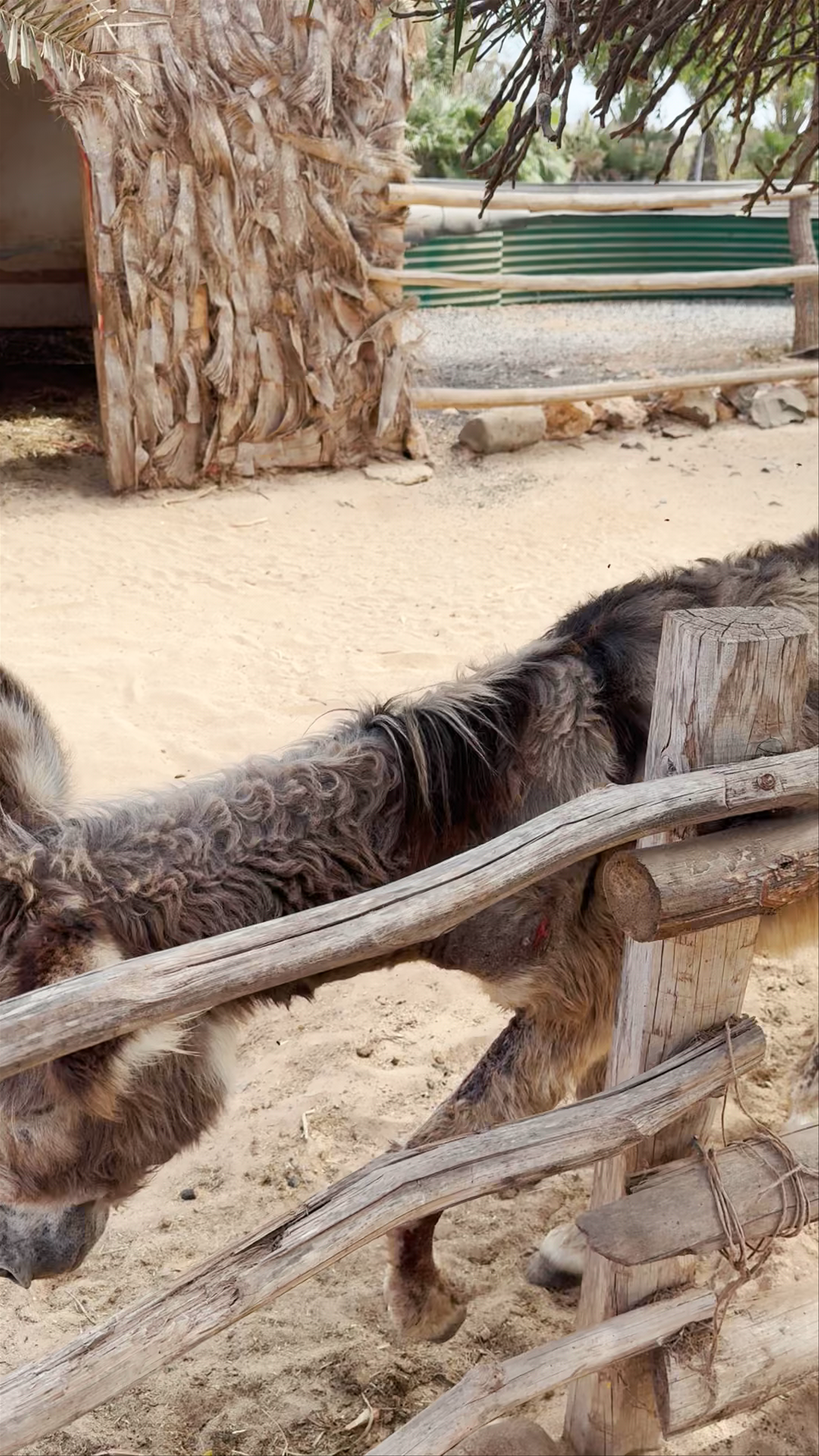 Pachamama Eco Park - Viveiro Botanical Garden
