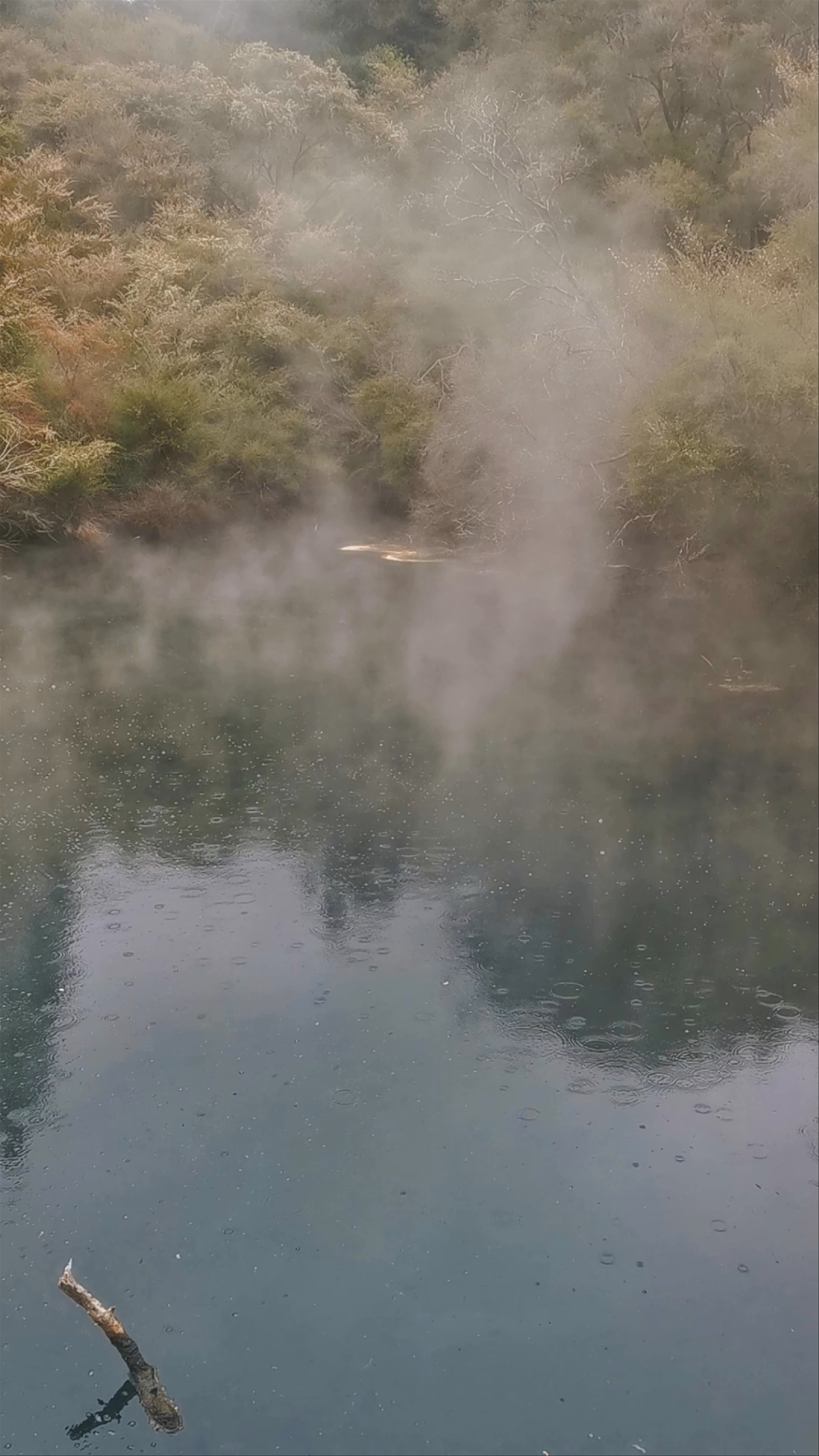 Tokaanu Thermal Pools: Mystical Steam Amidst New Zealand Forests