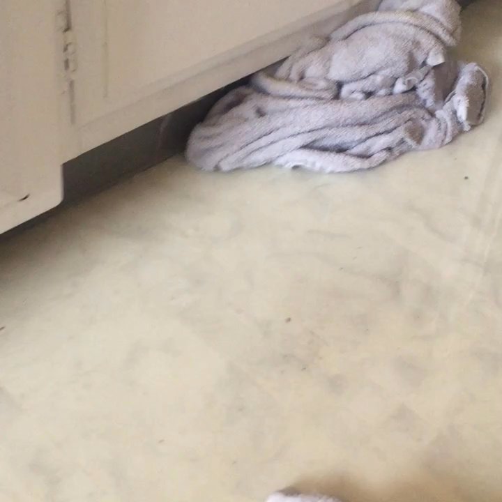 Plumber Boy - Bad!!Bad!! - Plumbing Near Me - San Pedro, California