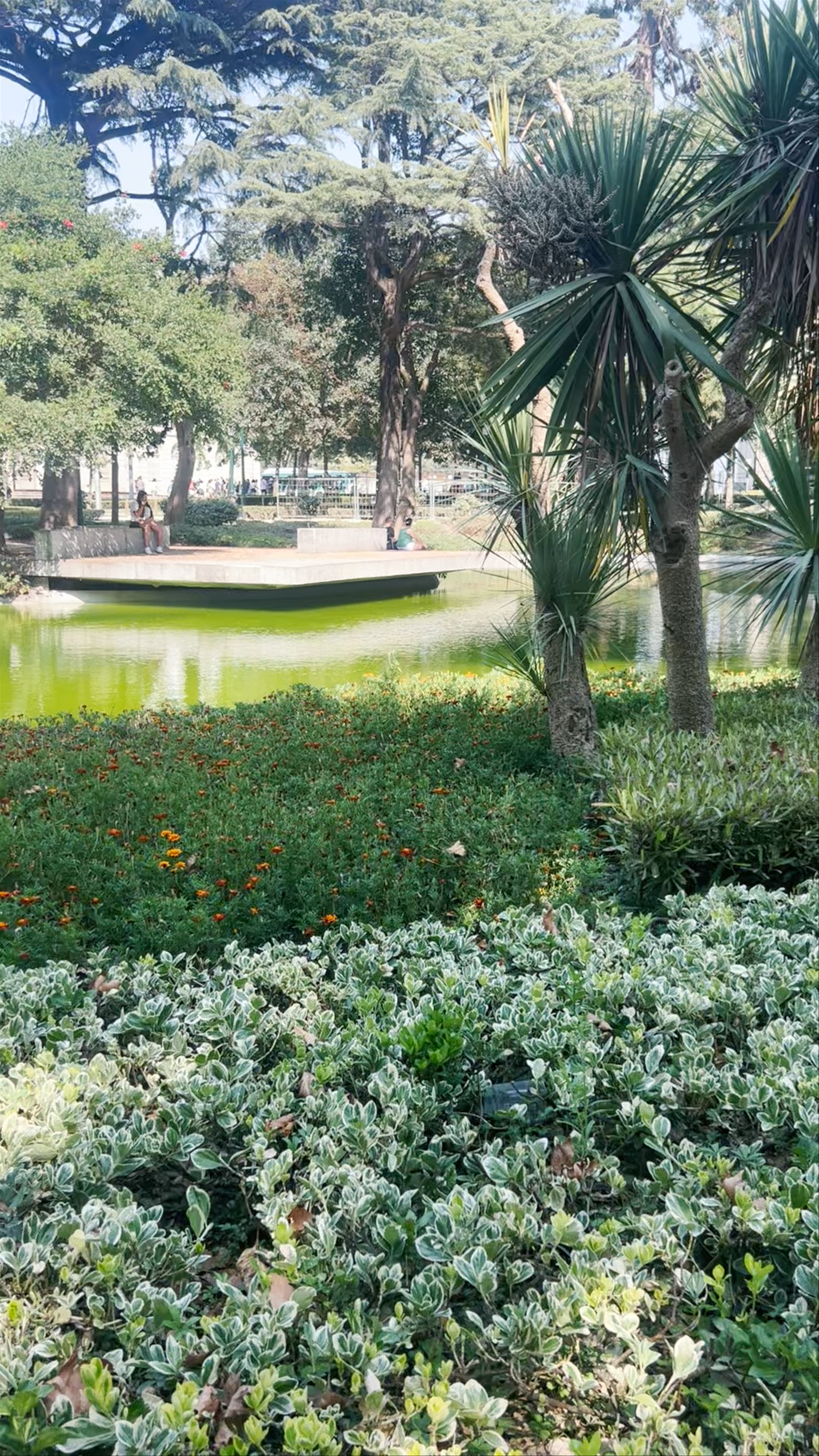 Jardim da Cordoaria