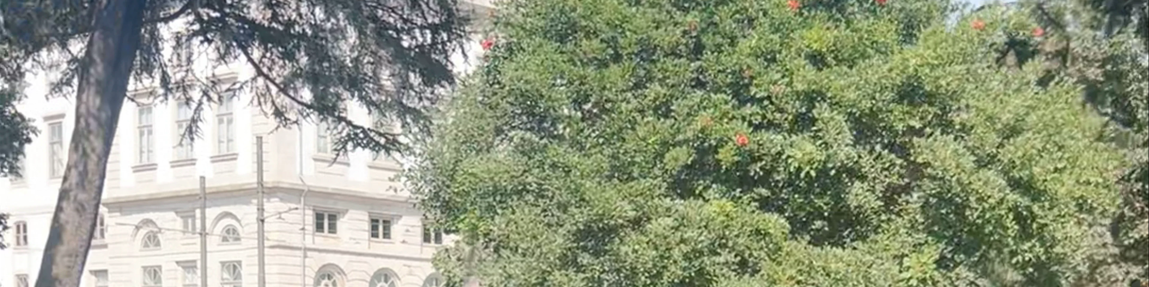 Jardim da Cordoaria