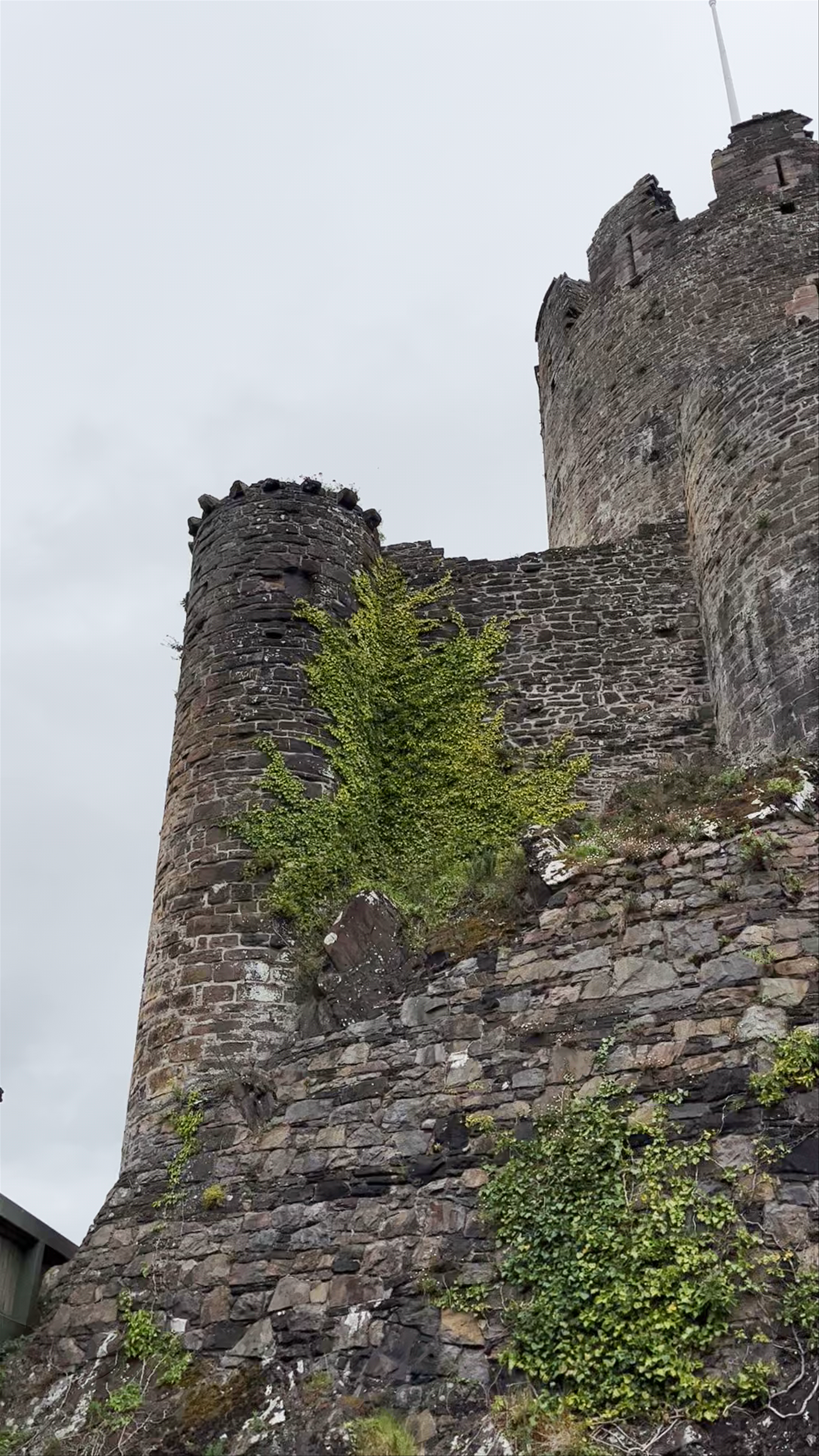 Conwy Castle