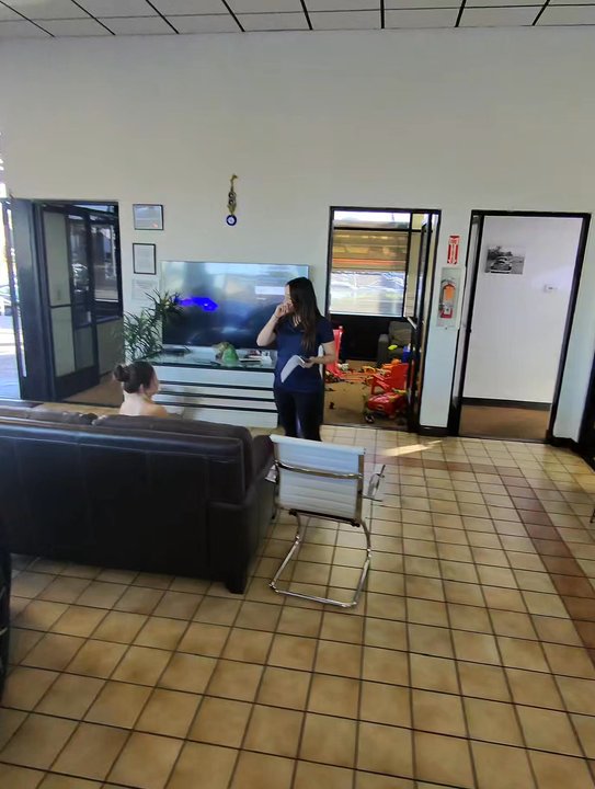 Premium Autos - Answer customer they messed over giving her a Tesla that wasn't even Charged - Used Car Dealers Near Me - Norco, California