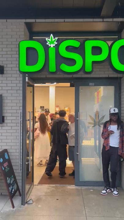 Dispo - Cannabis Dispensaries Near Me - Brooklyn, New York
