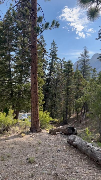 McWilliams Campground - Hiking Near Me - Las Vegas, Nevada
