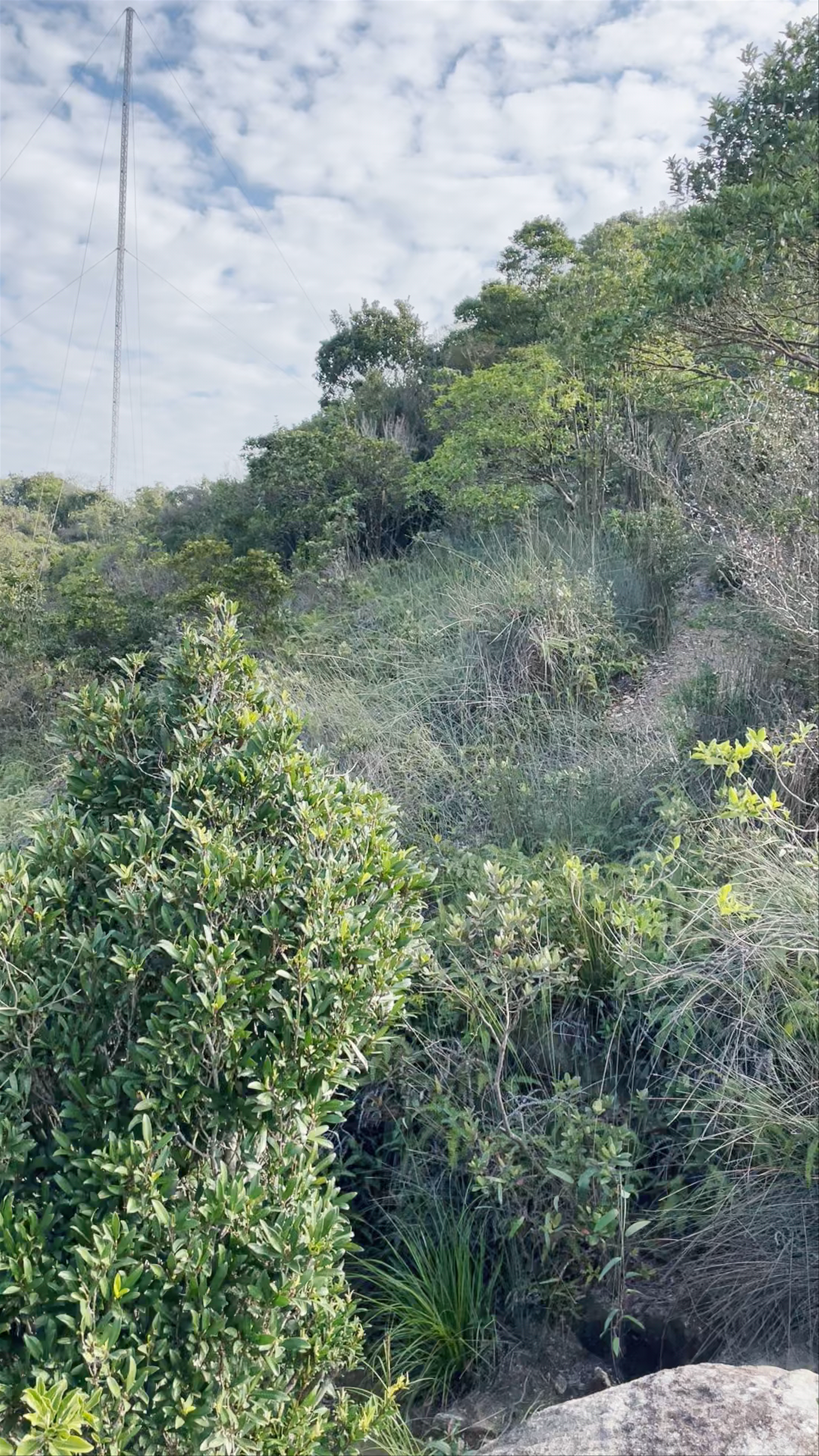Red Incense Burner Summit