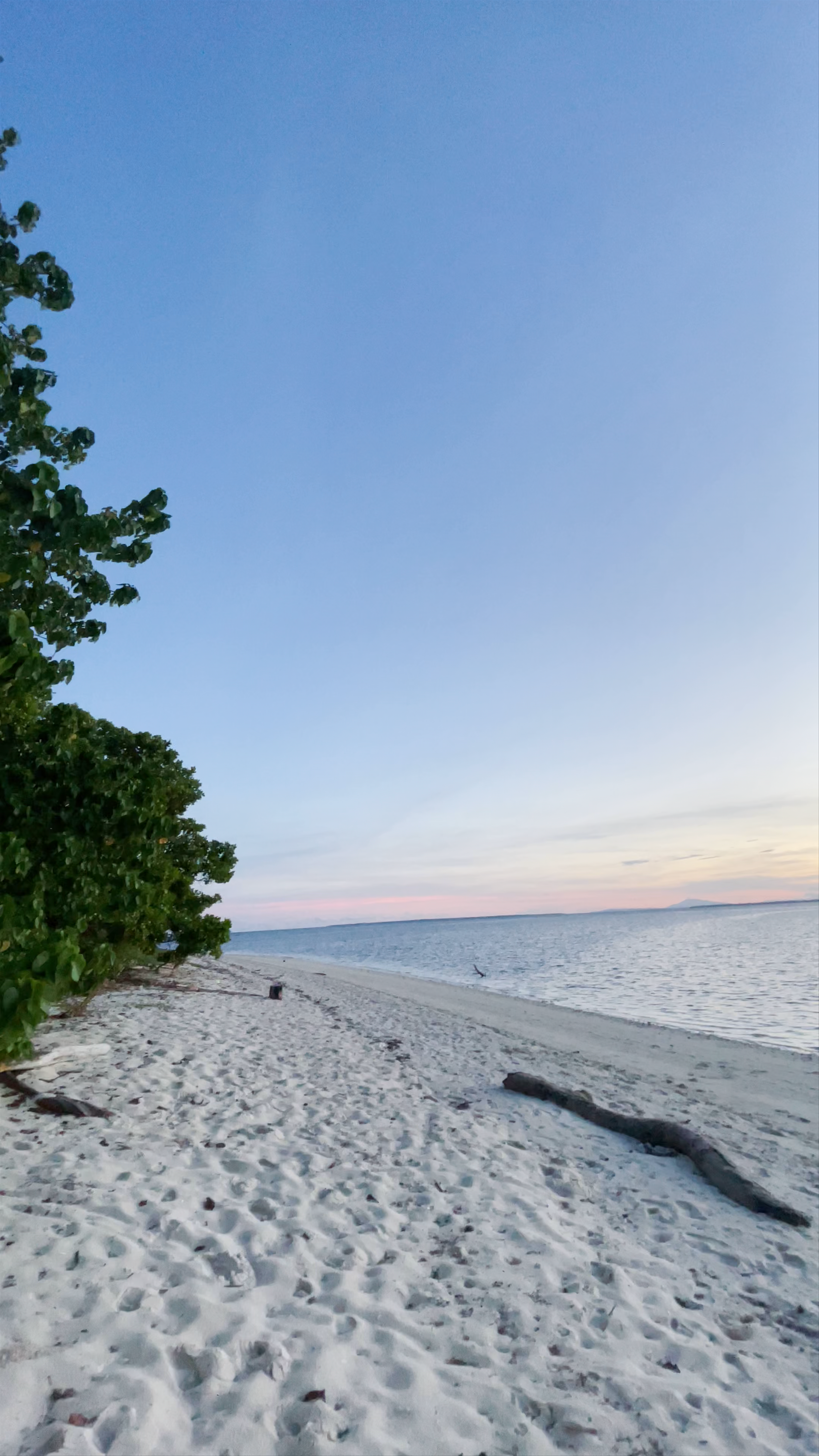 Sicsican Island Camp