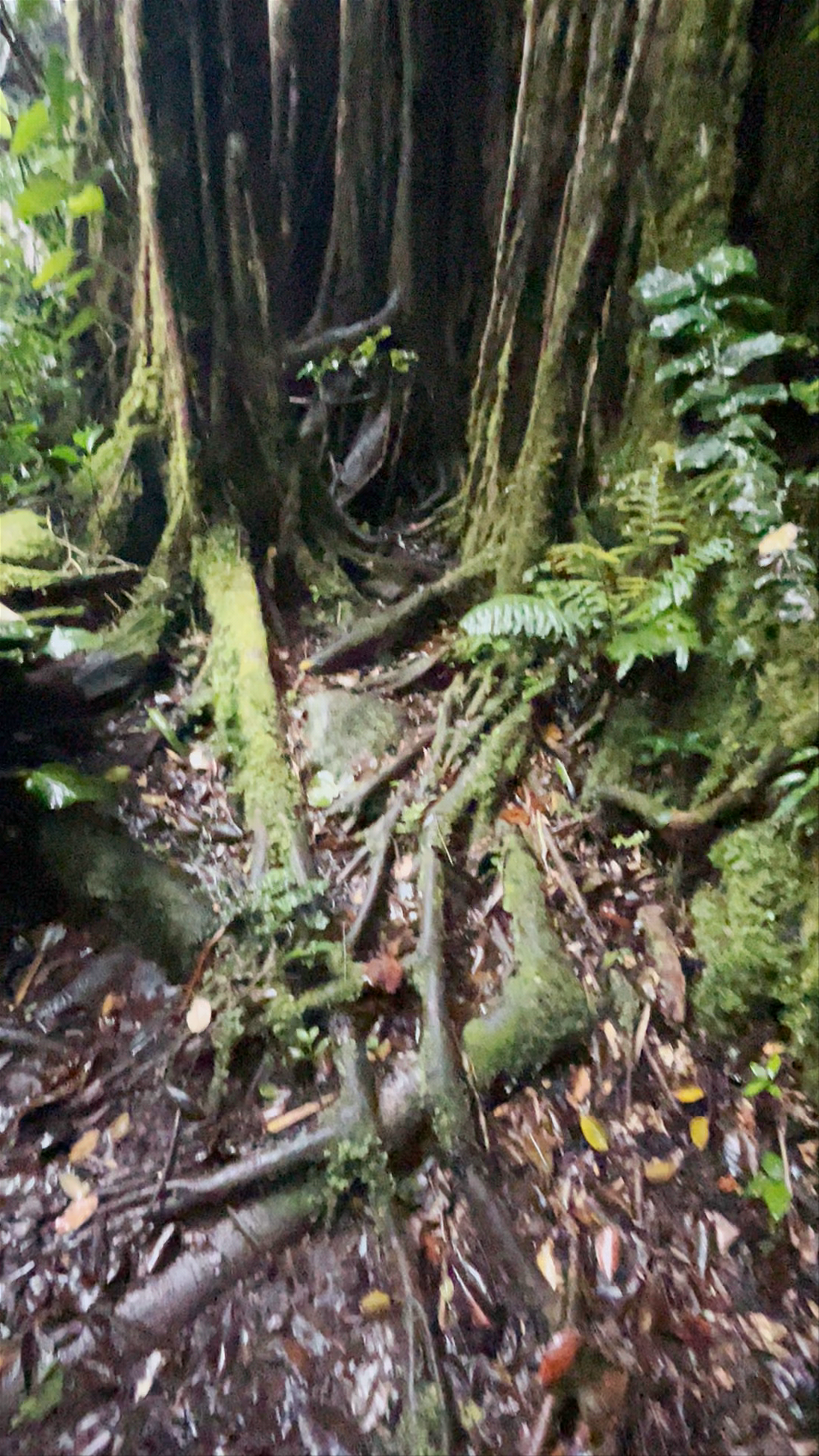 Lost and Found Hostel