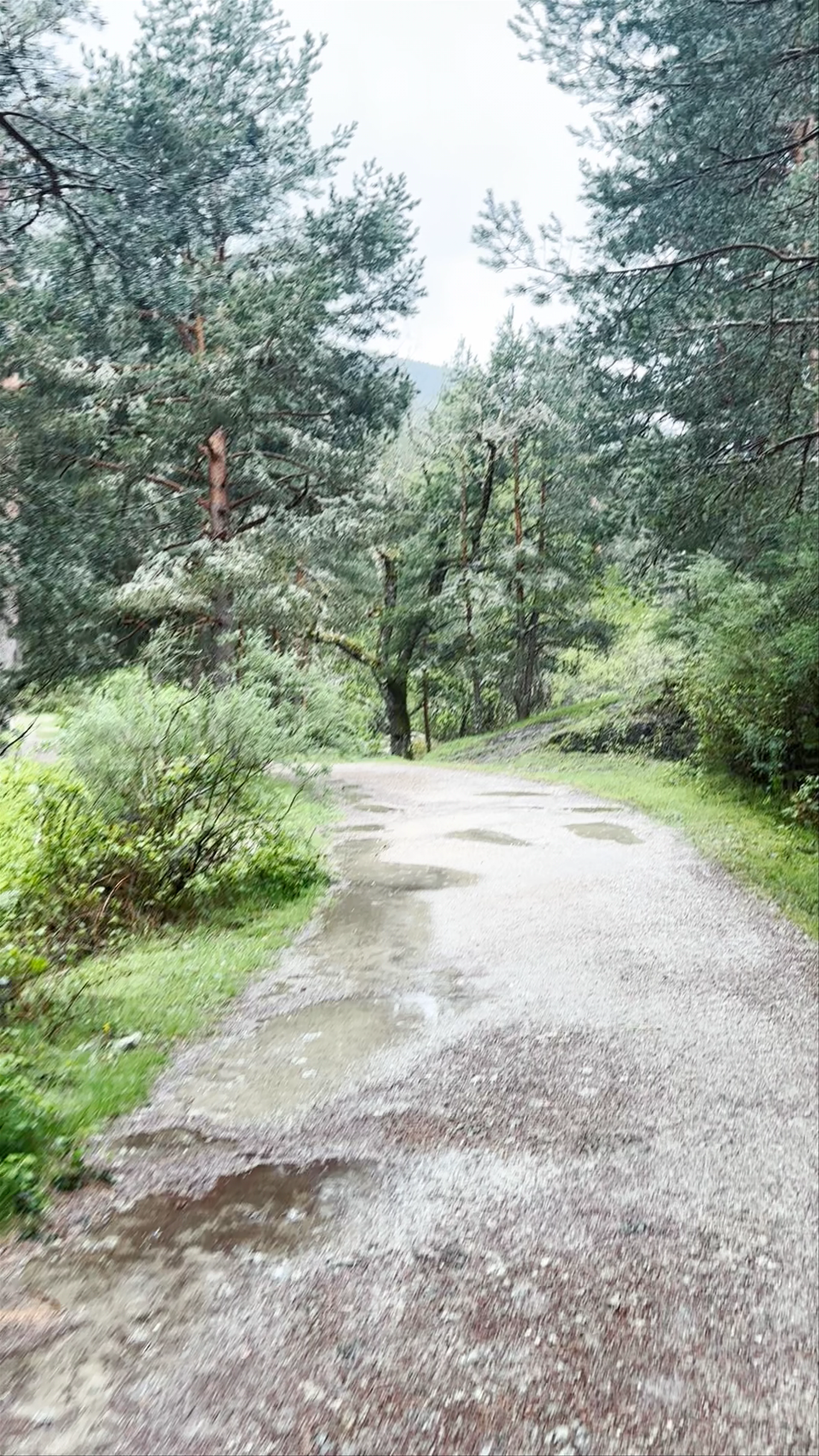 Collado-Villalba