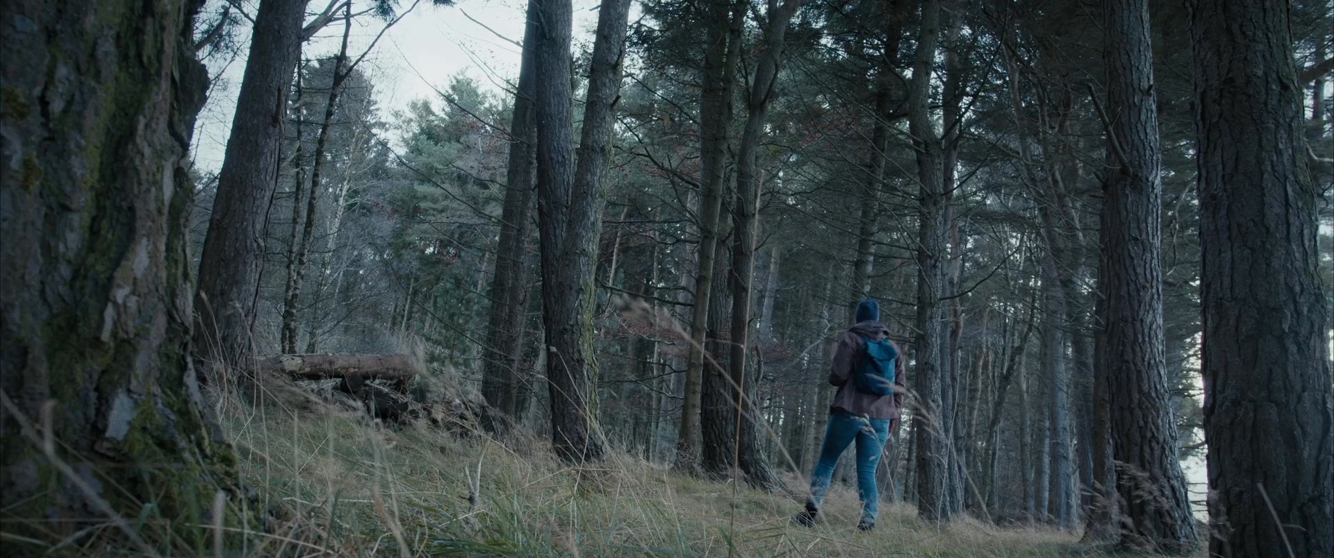 A hiker consults a map on her smartphone while navigating through a dense forest. She evaluates her route before continuing her trek through the wooded landscape.