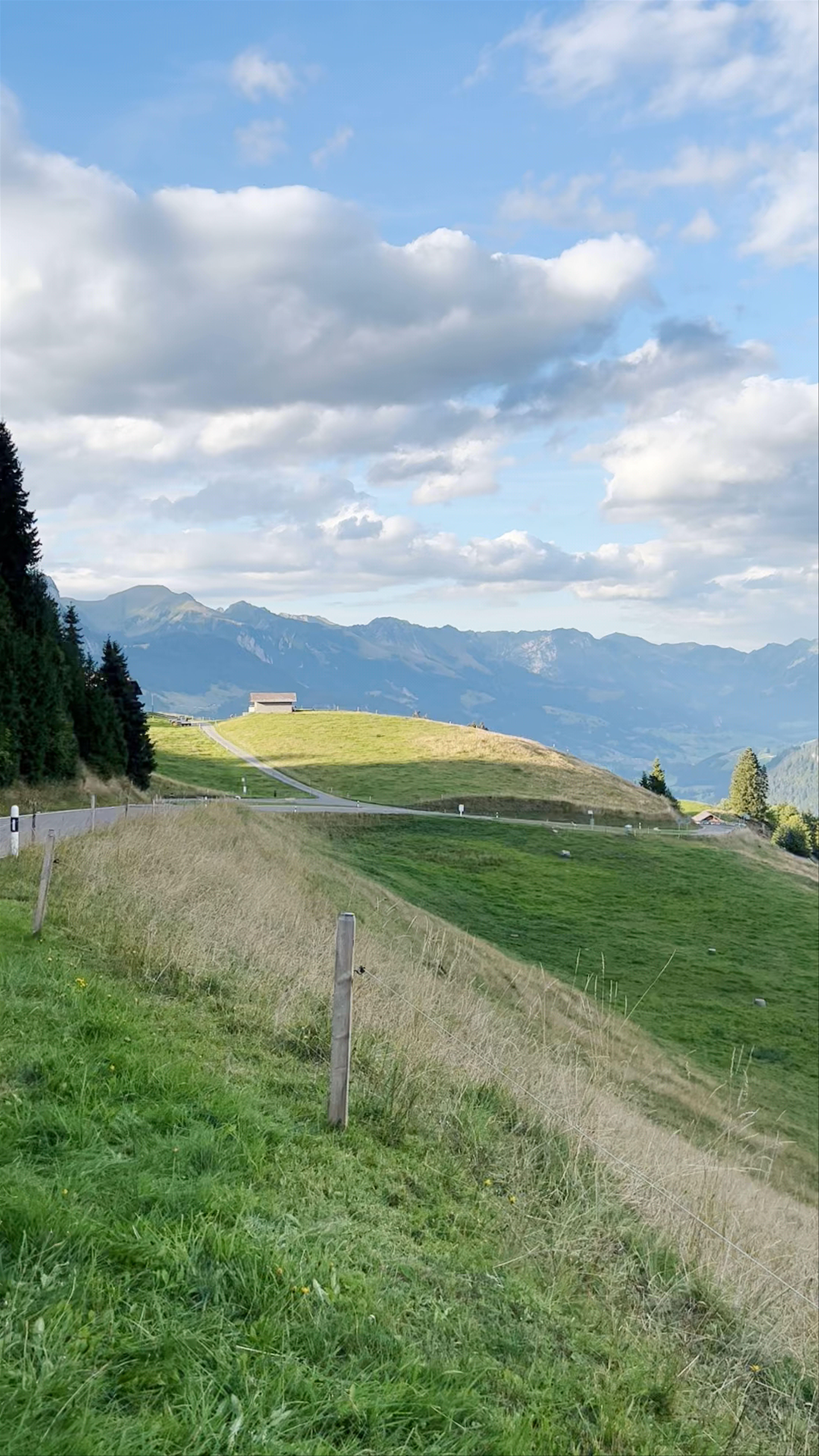 Sportschützen Boltigen