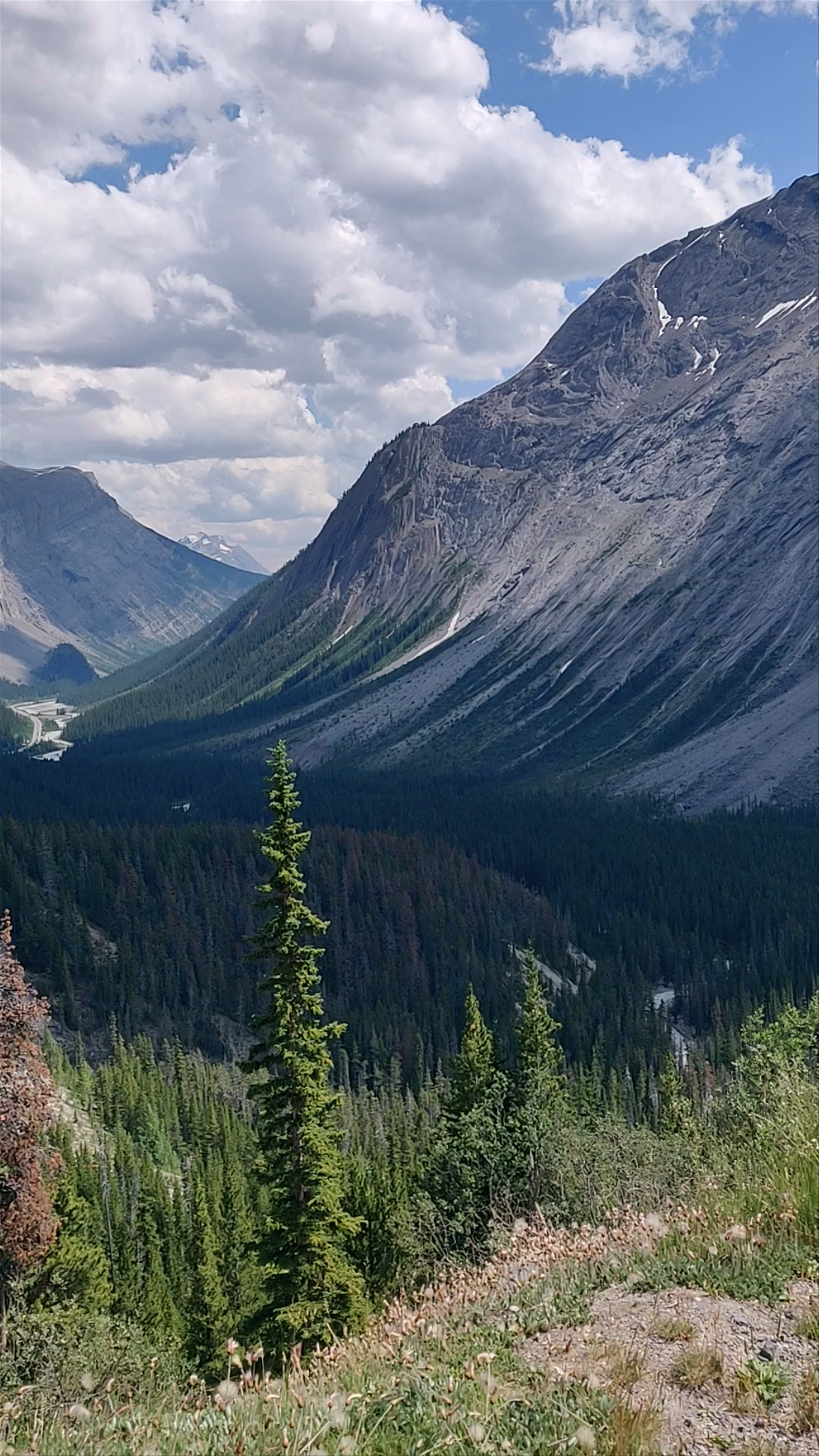 Icefields Parkway Lookout