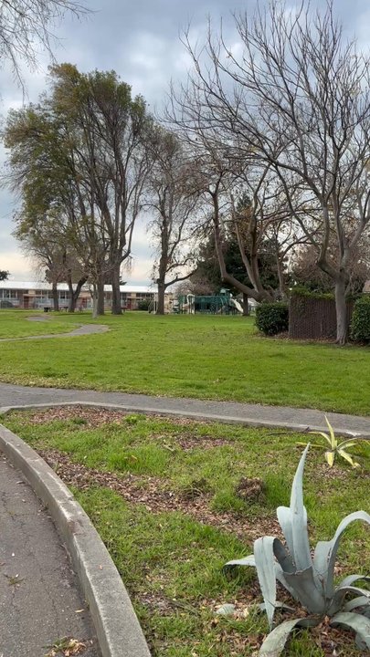 Del Rey Park - Park View - Parks Near Me - San Lorenzo, California