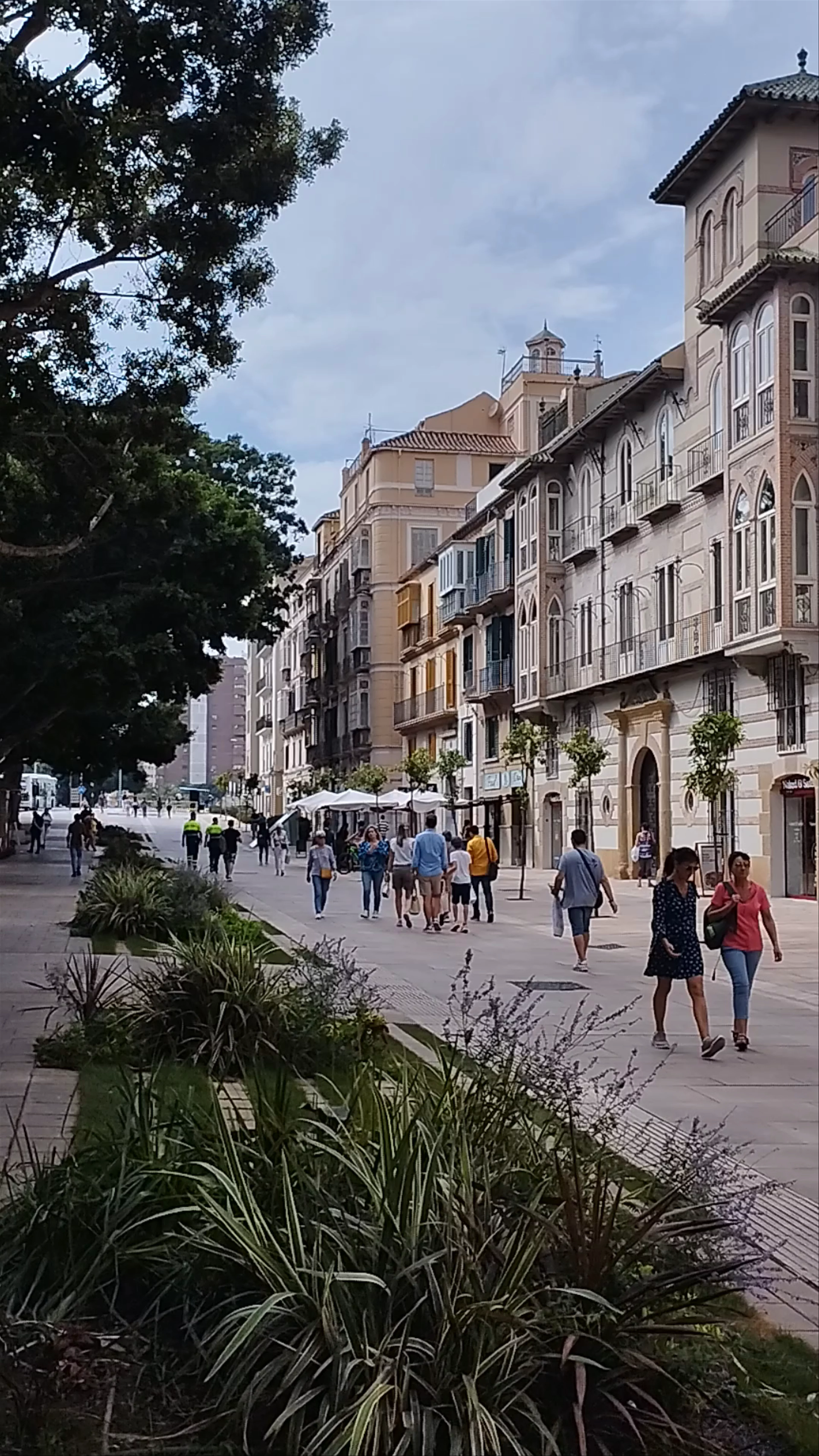 Avenida Alameda Principal