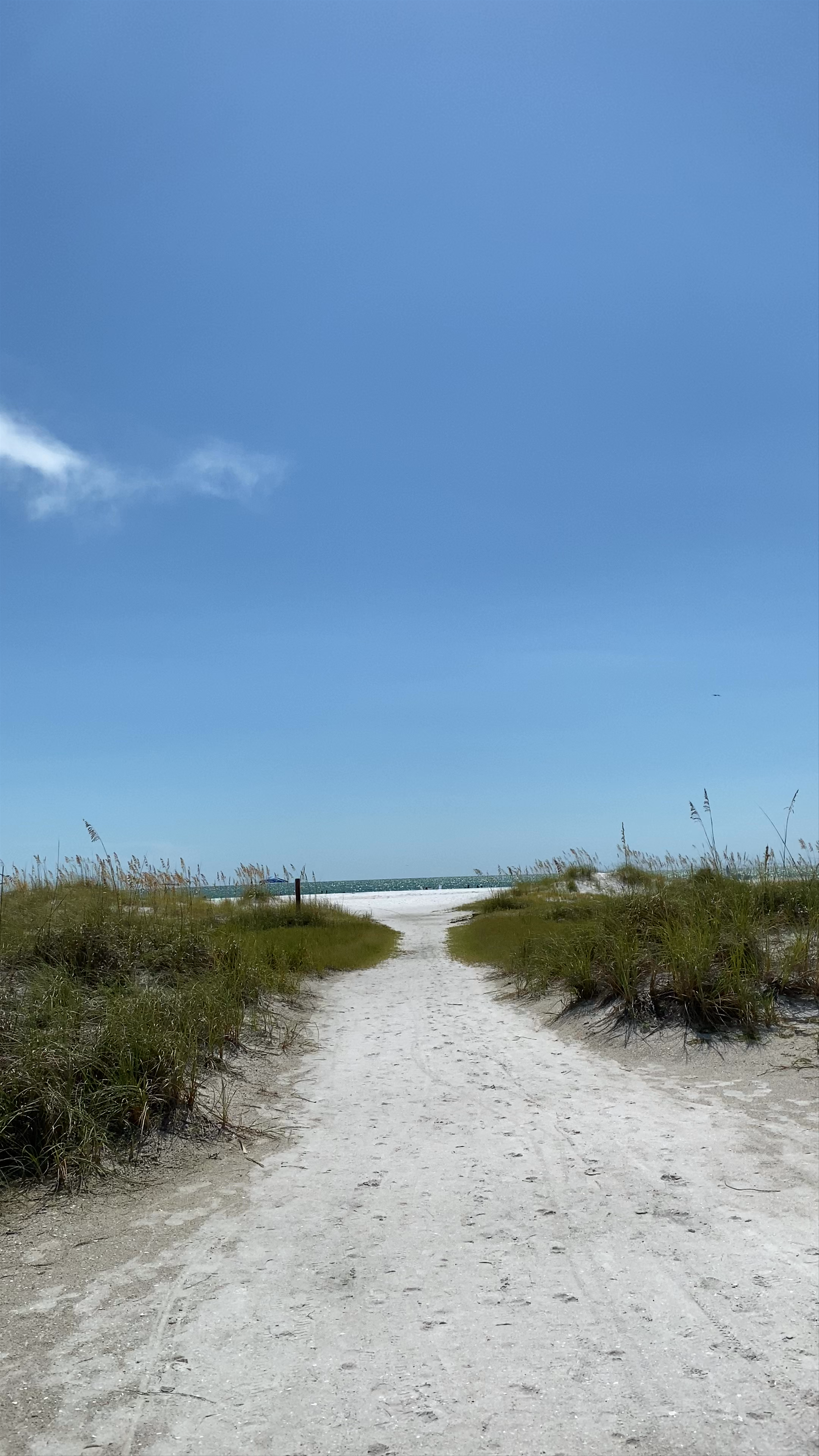 Serene Beach Walk at Bean Point, Anna Maria Island