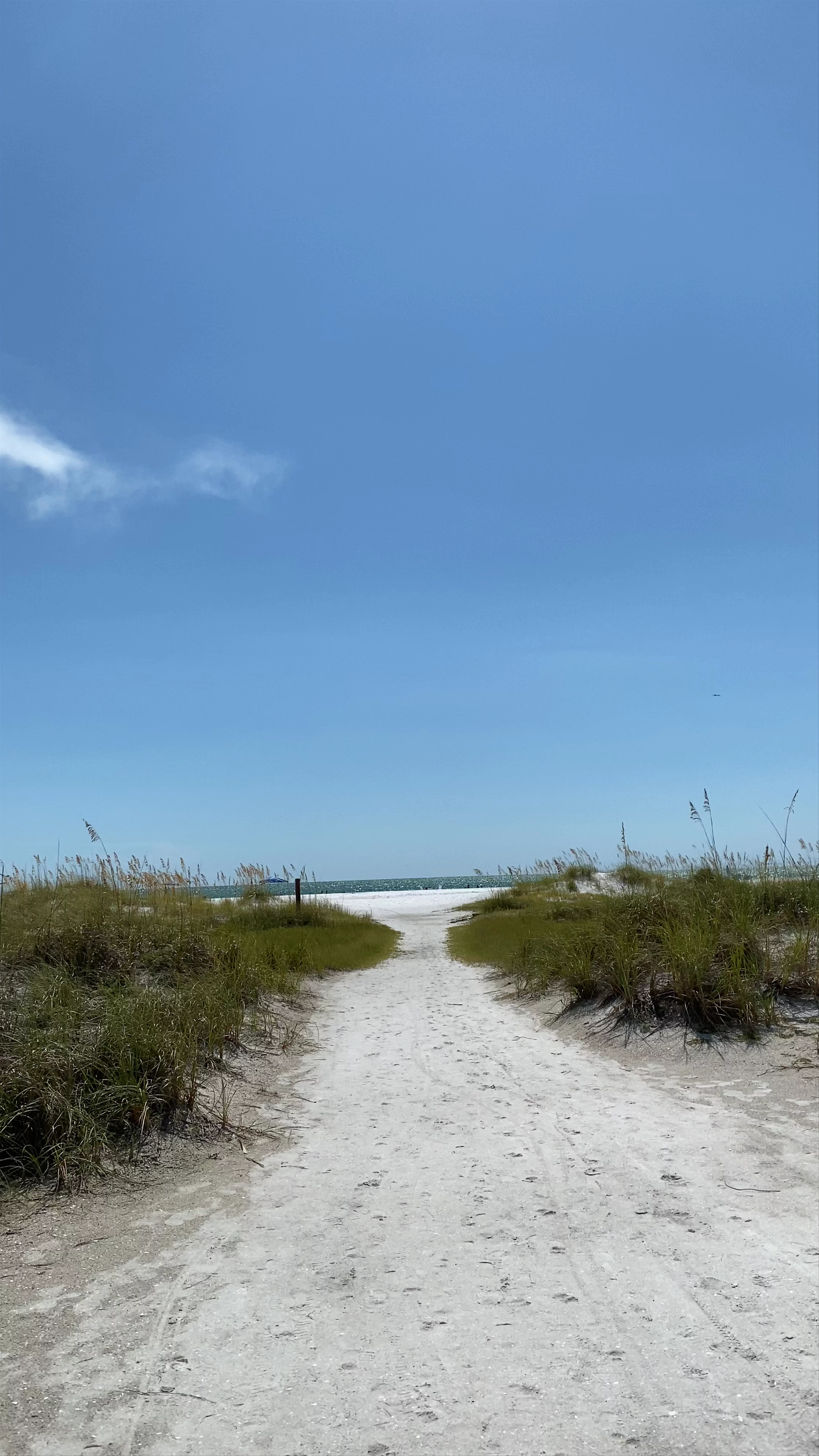 Bean Point Beach
