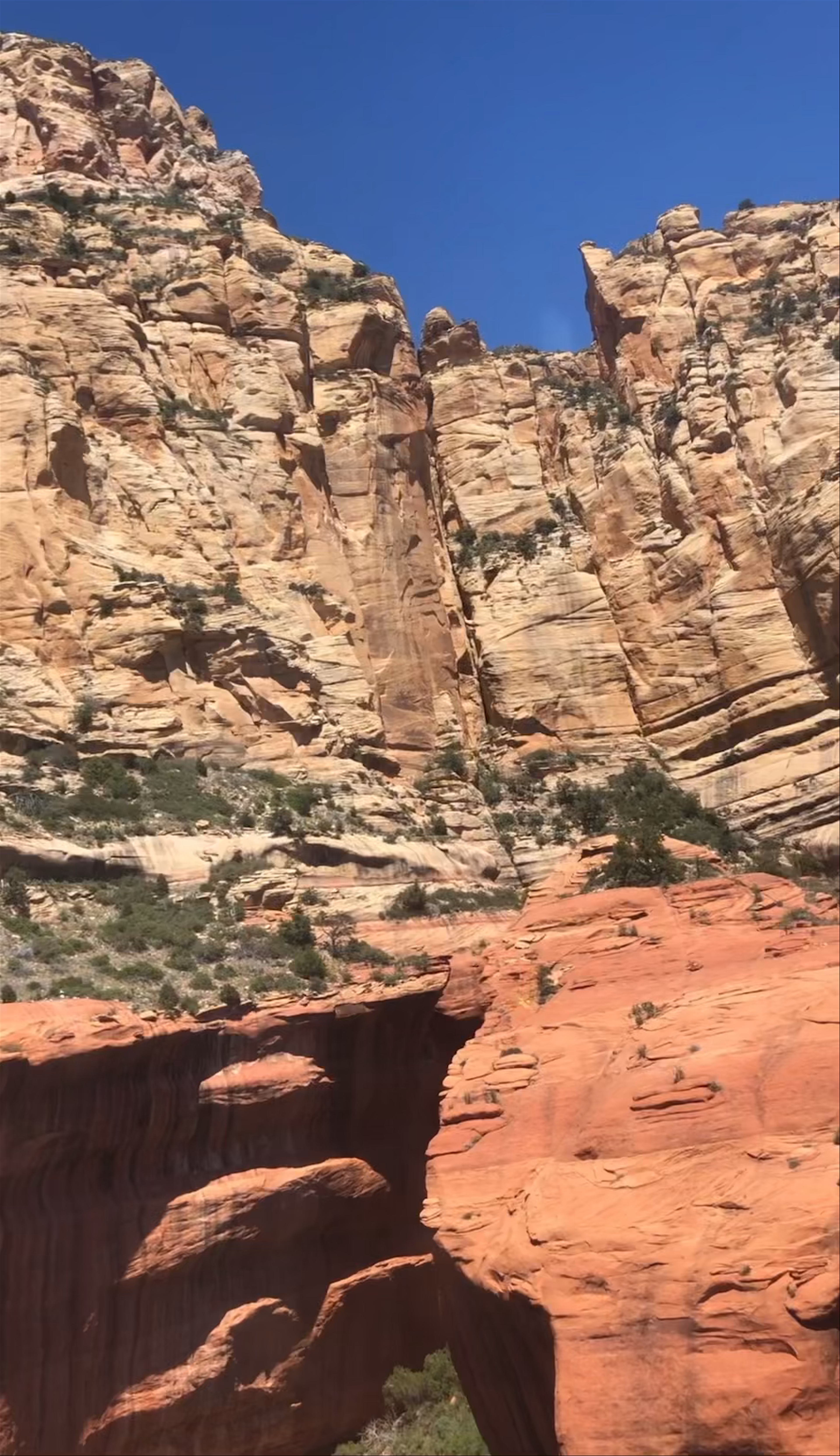 The Red Rocks in Oak Creek Canyon