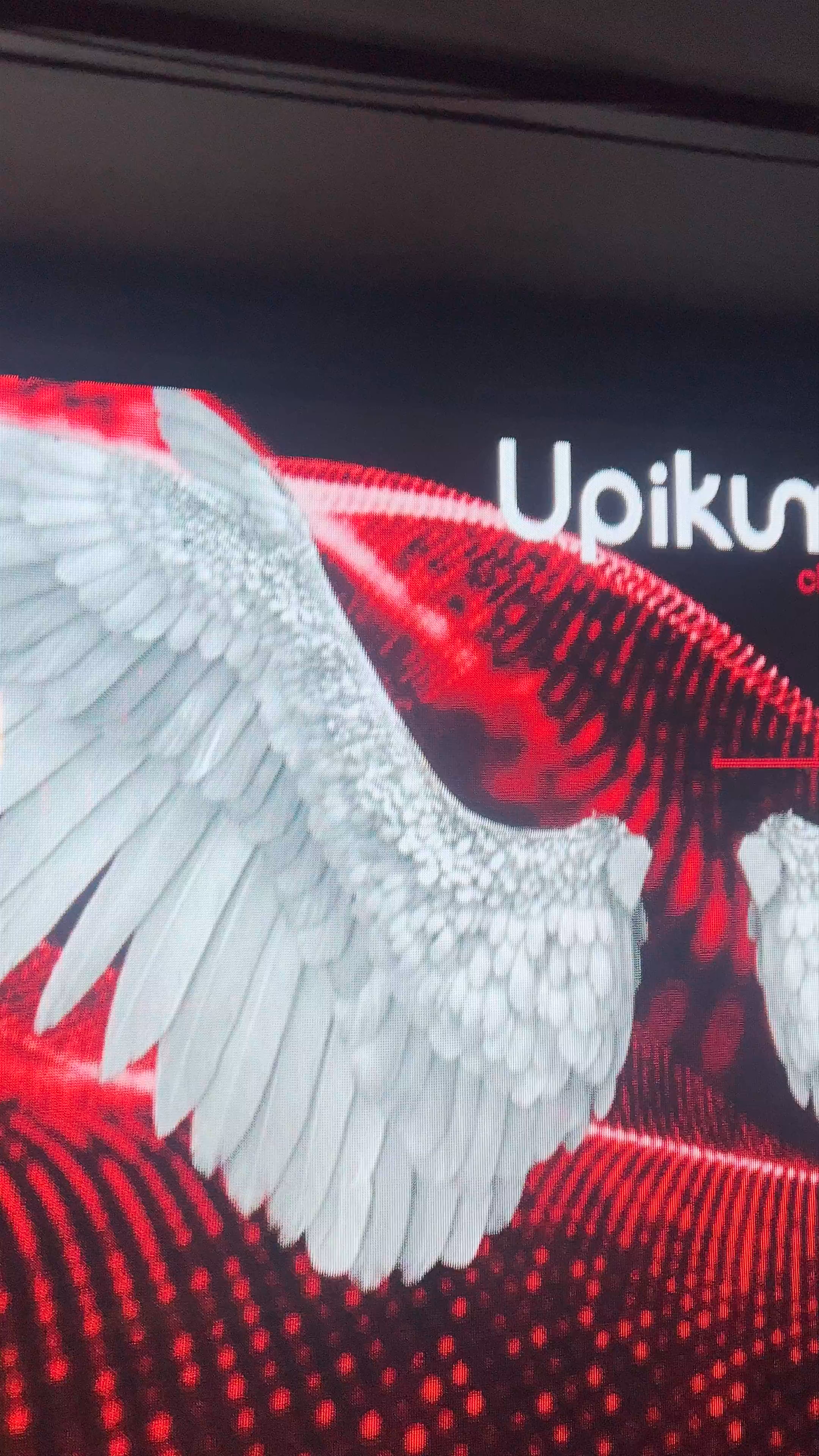 Upikum Club Alicante: Nightlife Vibes & Party Energy