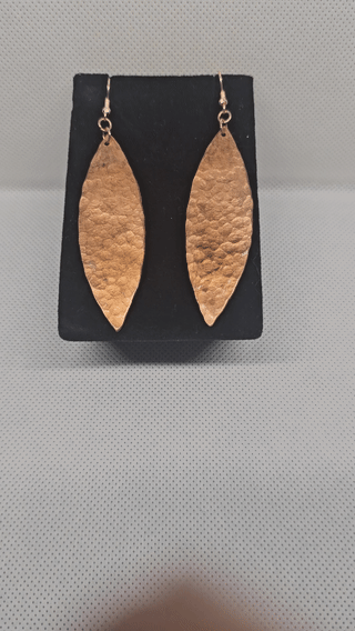 Preview image for video