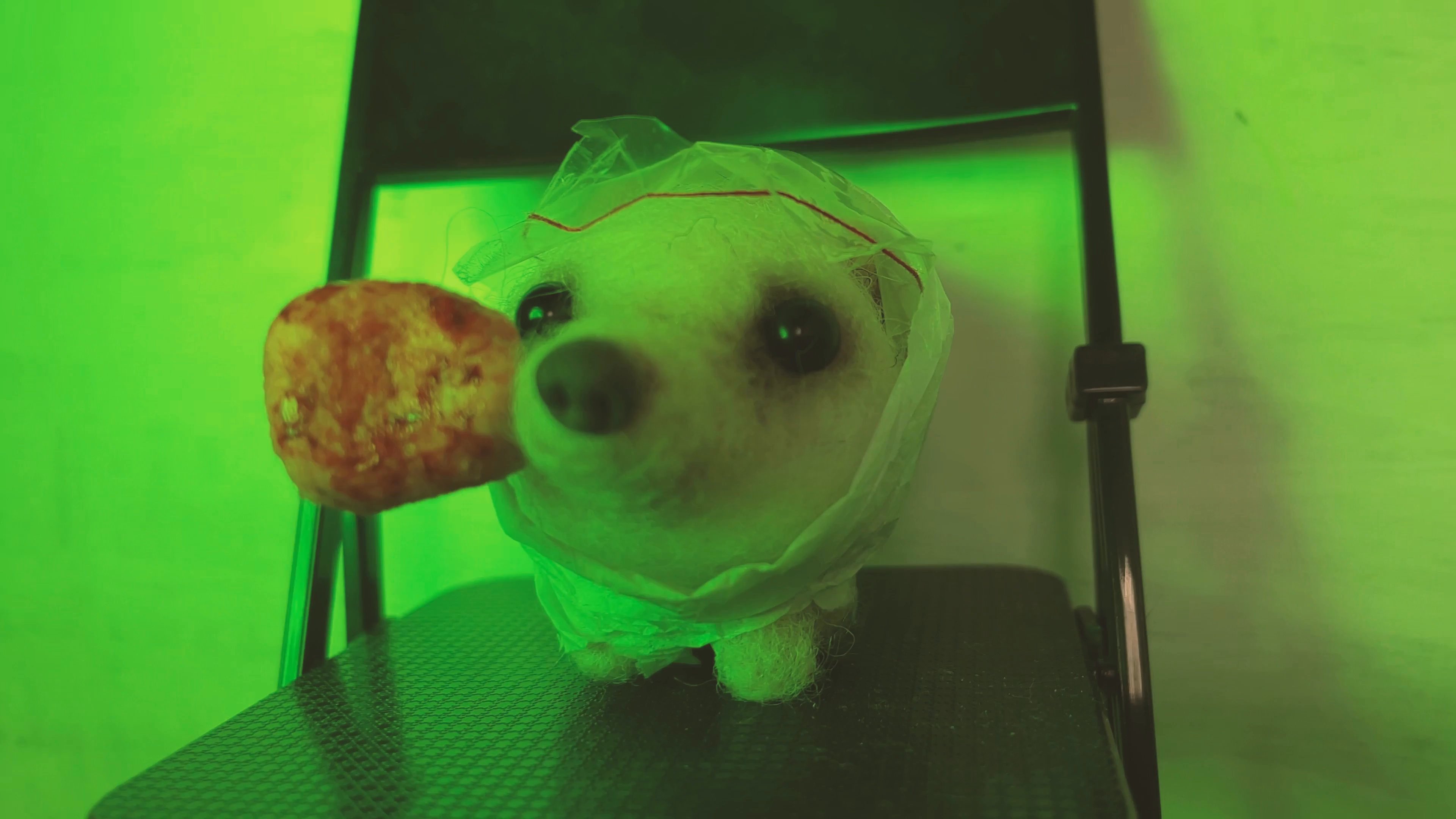 A small plush hedgehog is featured in a series of shots interspersed with countdown timers indicating the remaining time until a target event.