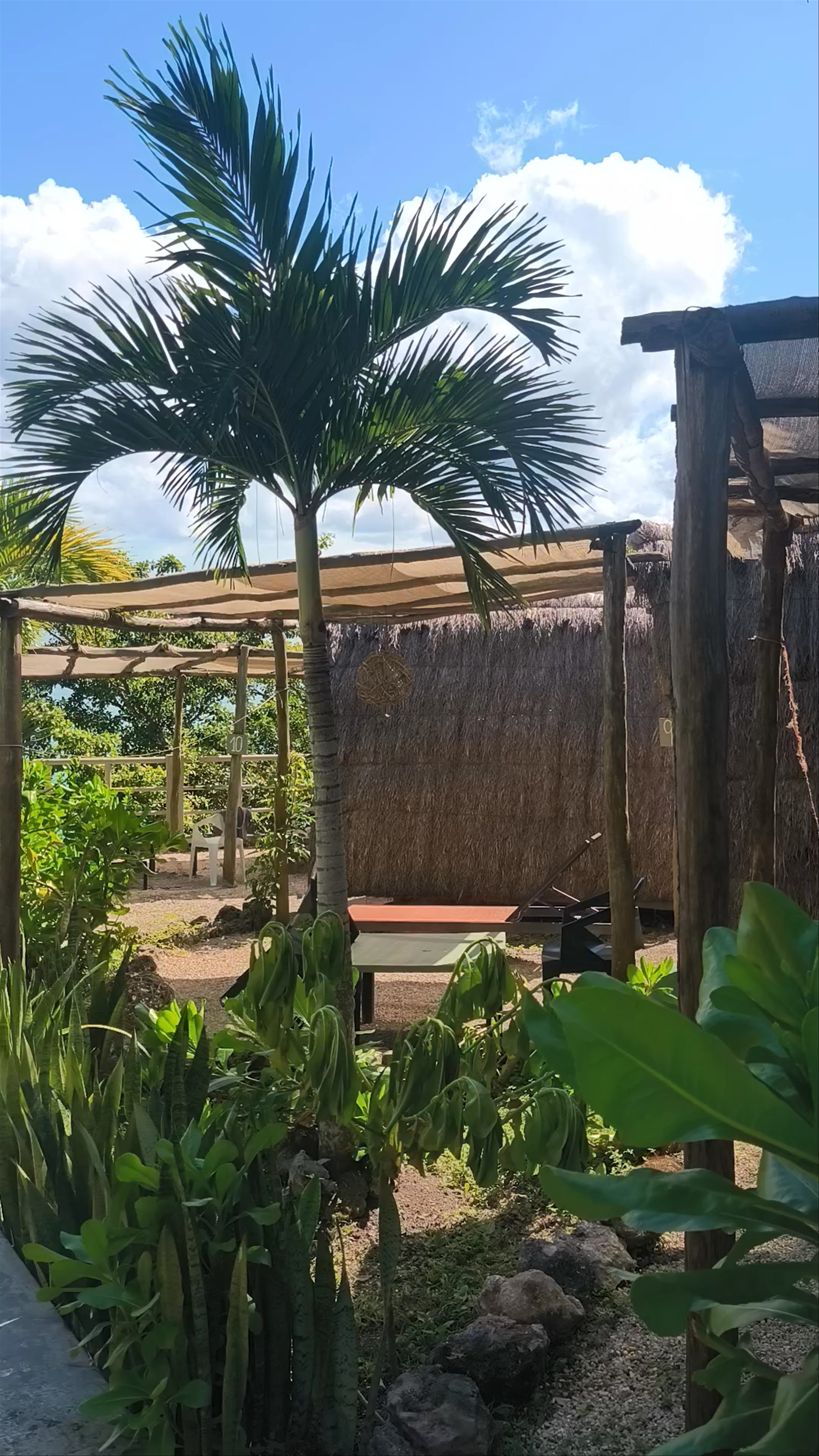 Asana bacalar Glamping
