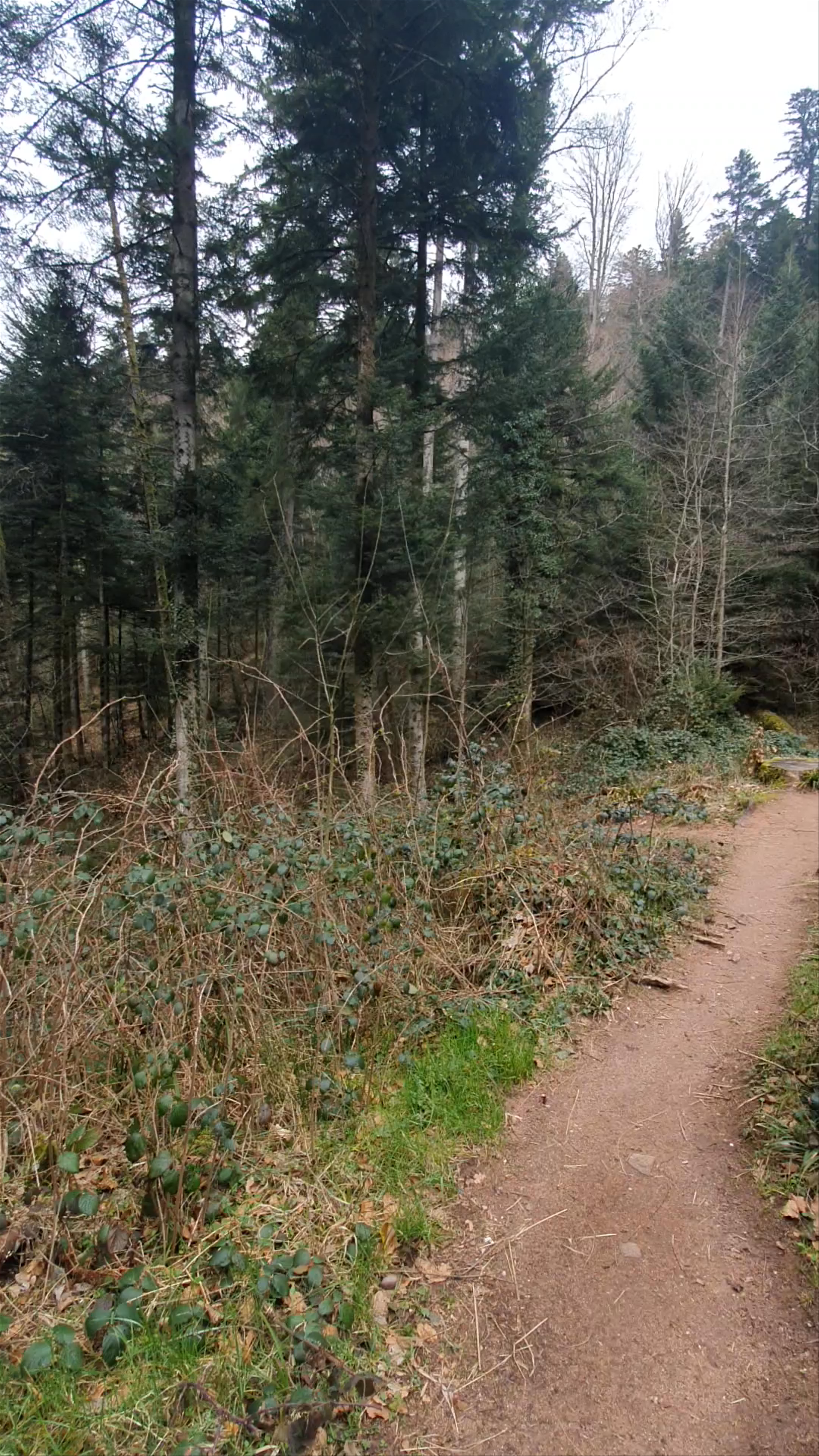 Cascade des Molières