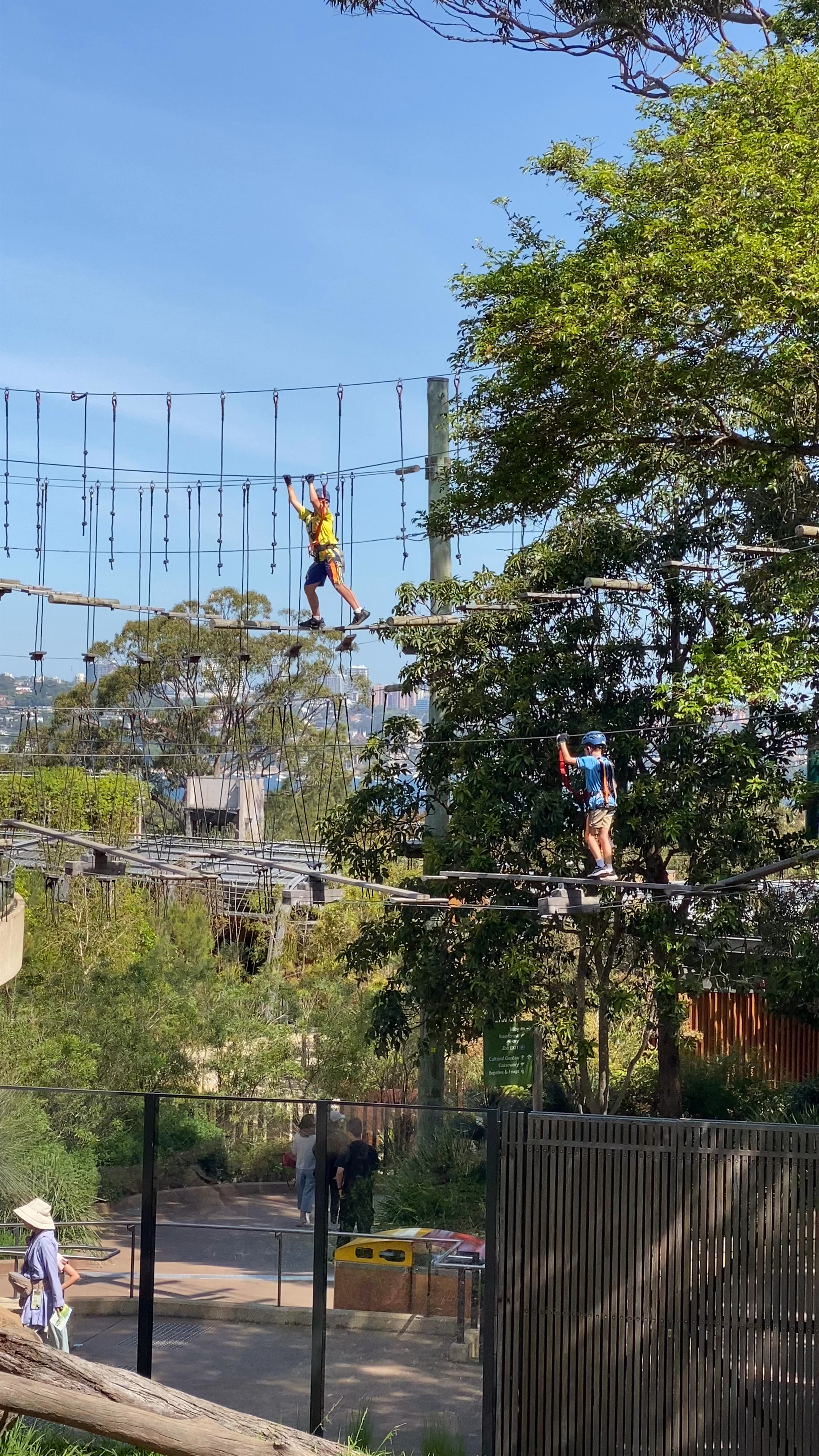 Wild Ropes