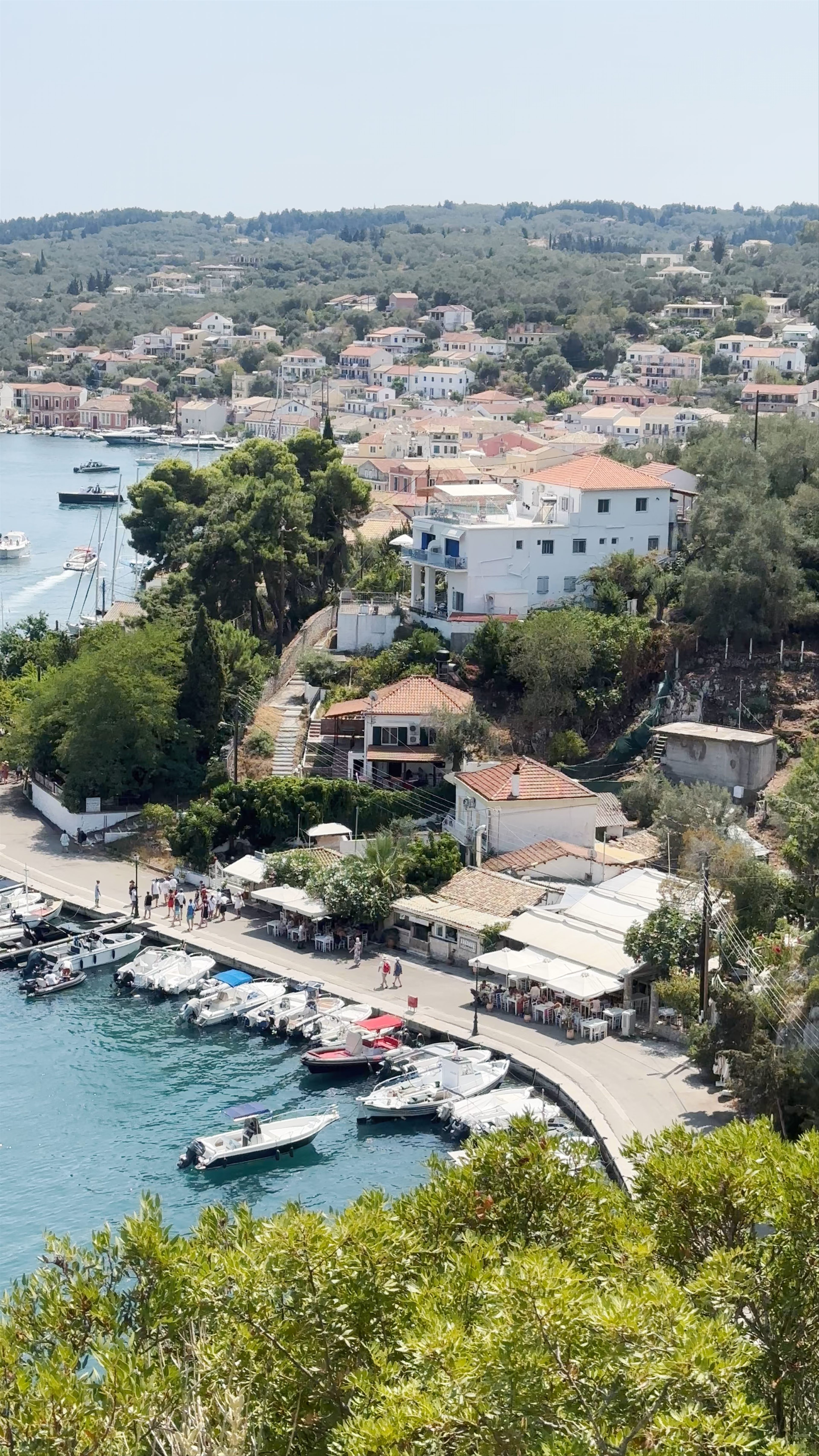 Viewpoint of Gaios