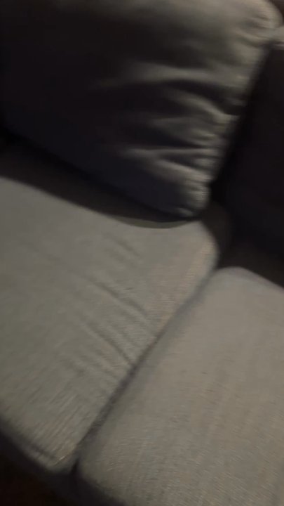 Champs Carpet - Carpet Cleaning Near Me
