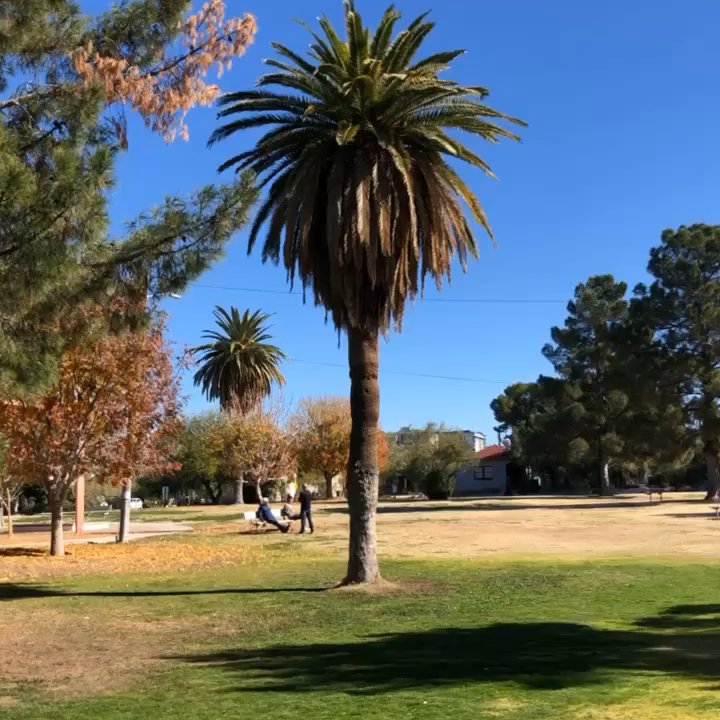 Catalina Park - Parks Near Me - Tucson, Arizona